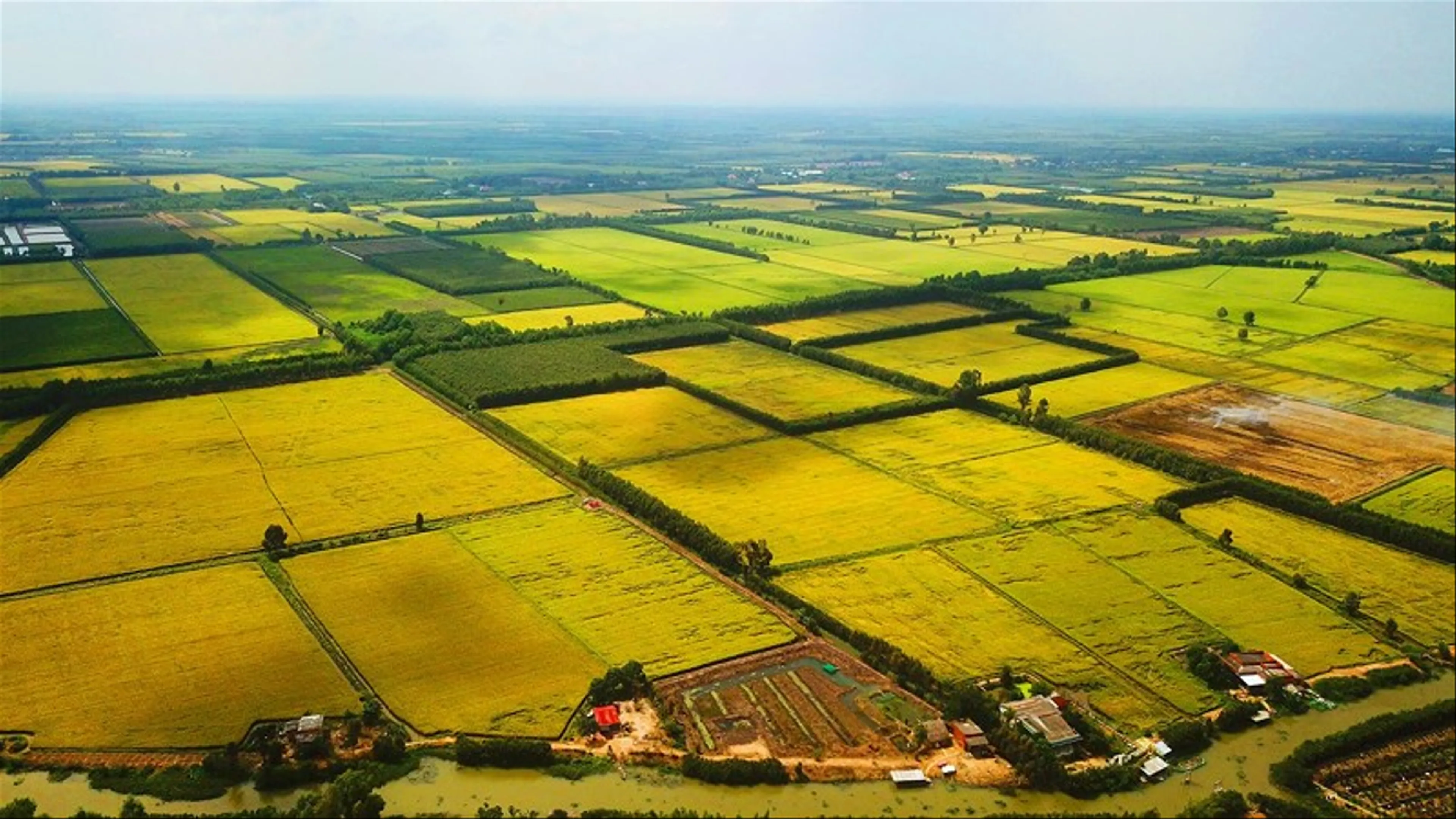Ho Chi Minh - Long An - Explore the Road Through Tan Lap Melaleuca Forest
