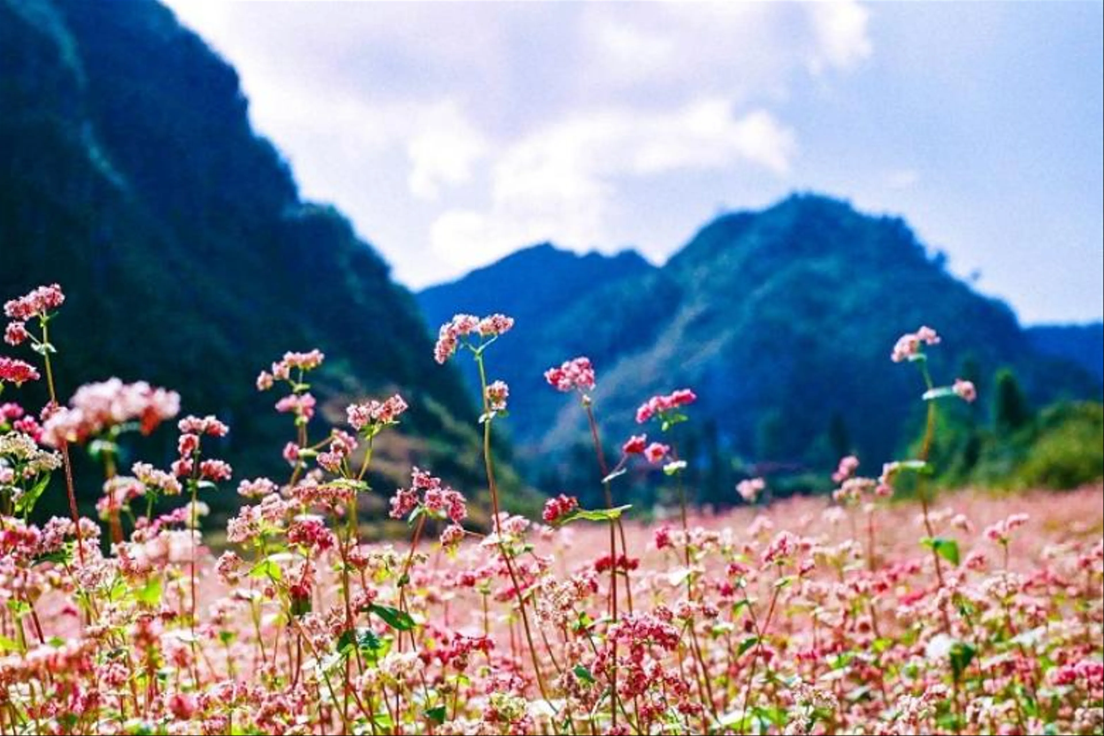 Ha Giang - Nho Que River - Khuoi Mi 3N4D - Motorbike Tour 2 (1 Guide Cum Driver With 1 Guest)