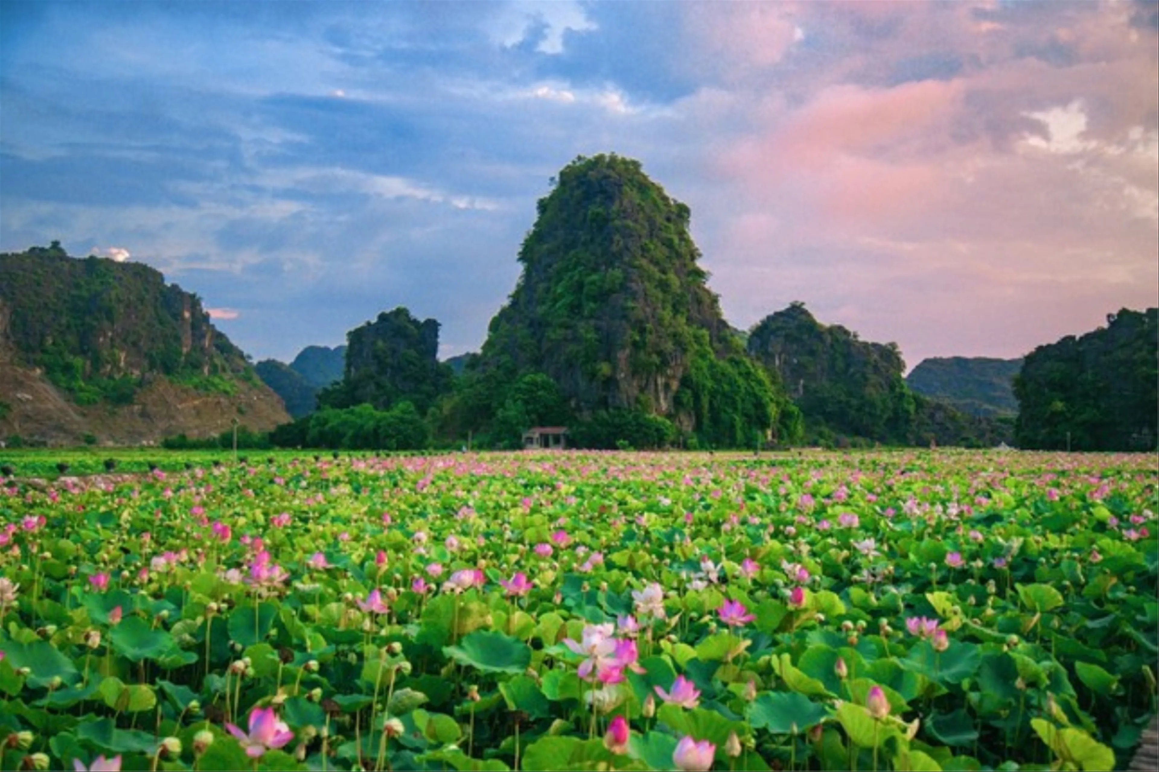 Ninh Binh 2 Days 1 Night (Hoa Lu - Tam Coc - Hang Mua - Bai Dinh - Trang An