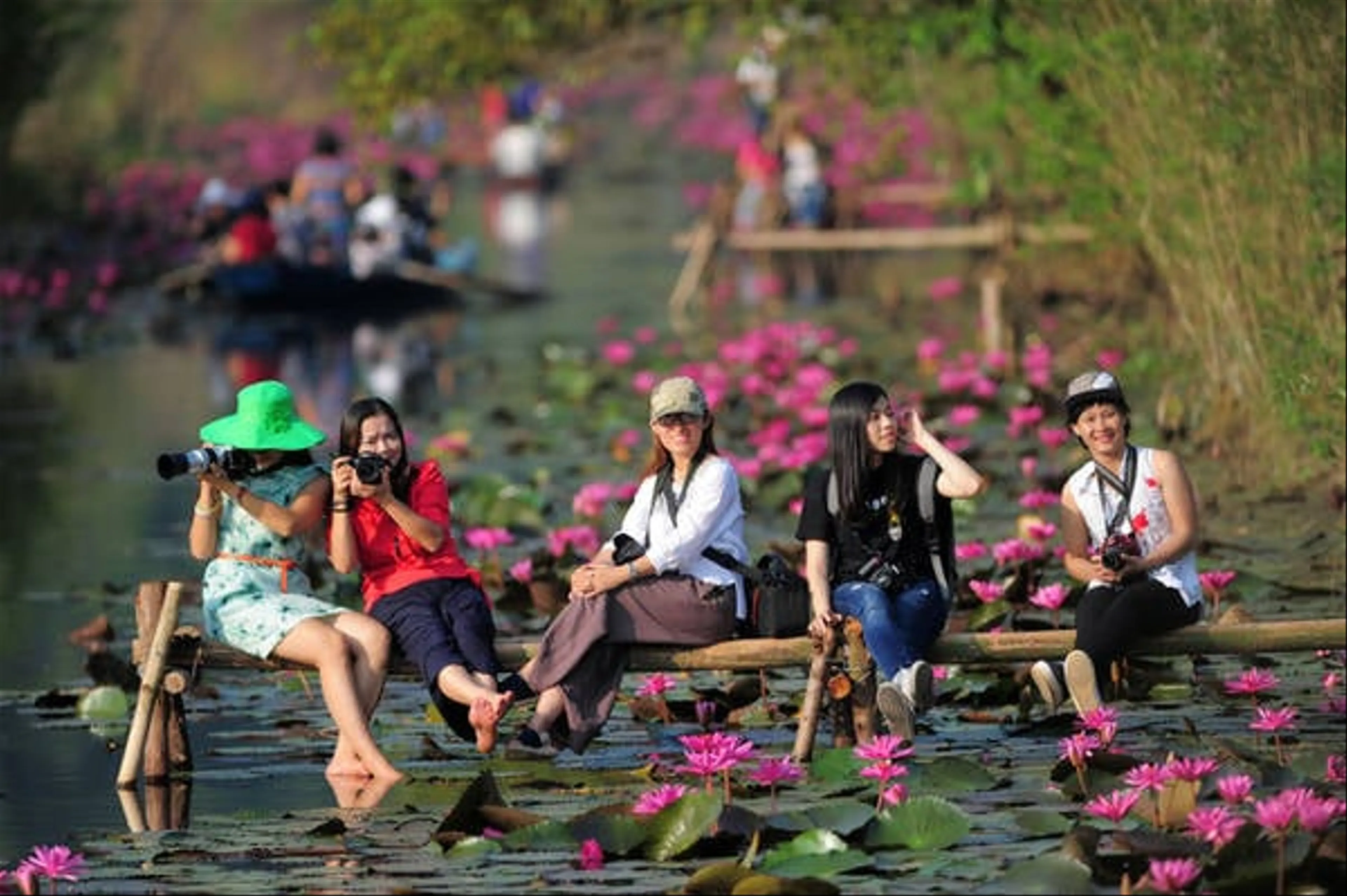 Tour Chùa Hương Mùa Hoa Súng 1N