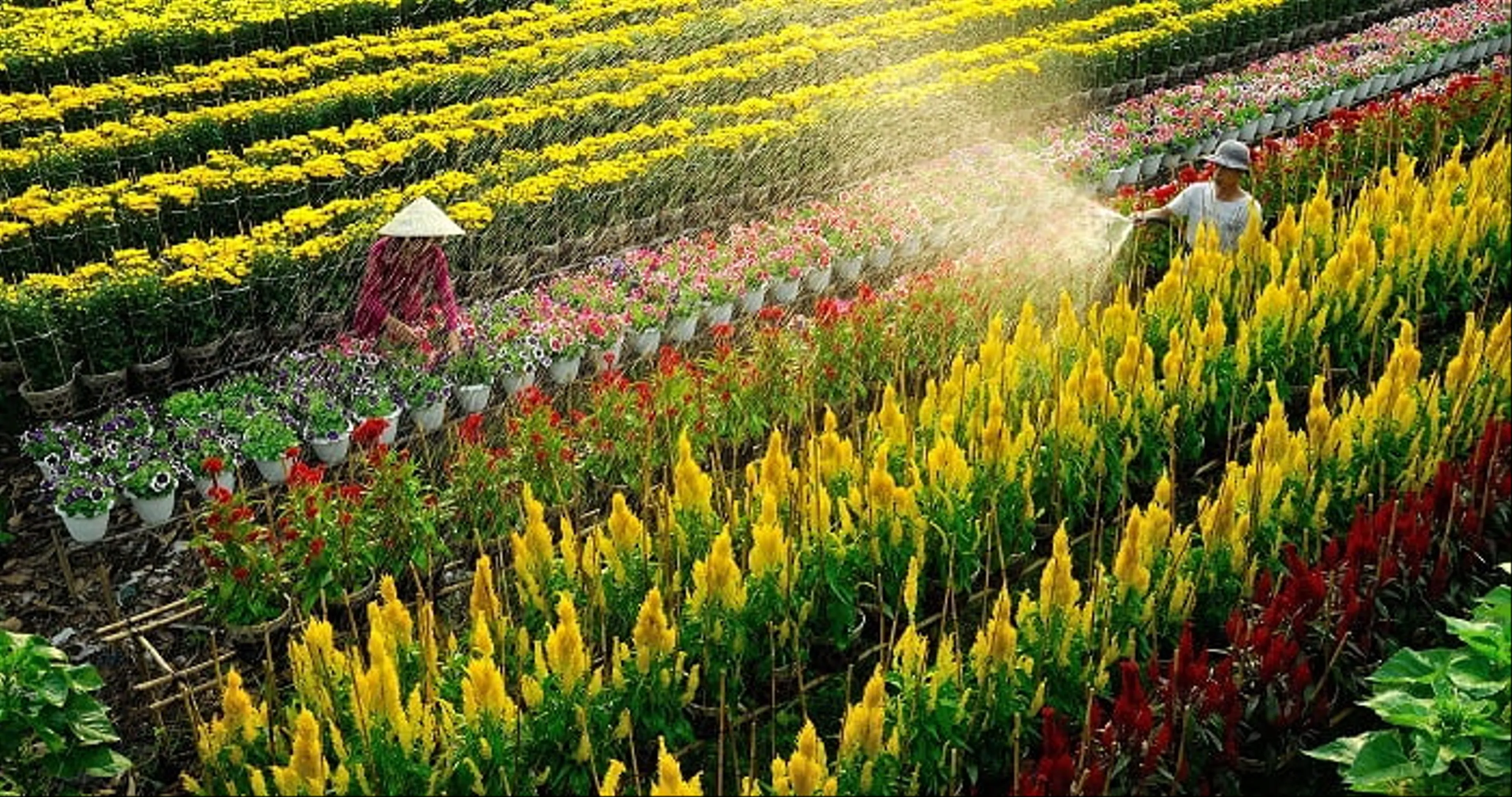 Hanoi - Con Dao - Chau Doc - Visiting Ba Chua Xu Temple - Can Tho 4N3D, Fly Bamboo Airways + Hotel 3*