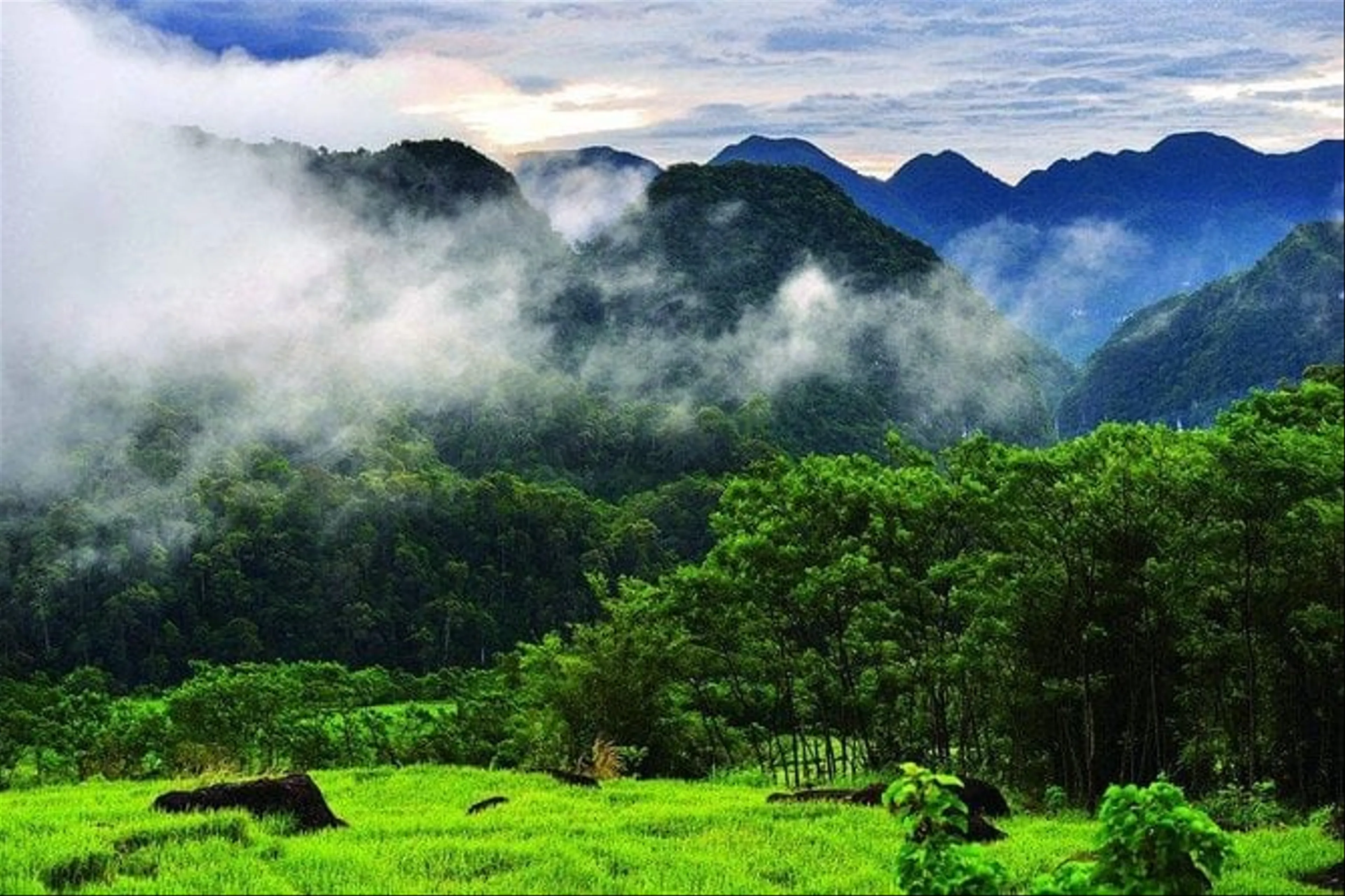 Mai Chau - Moc Chau - While Glass Bridge 2 Days 1 Night (Muong Thanh Hotel)