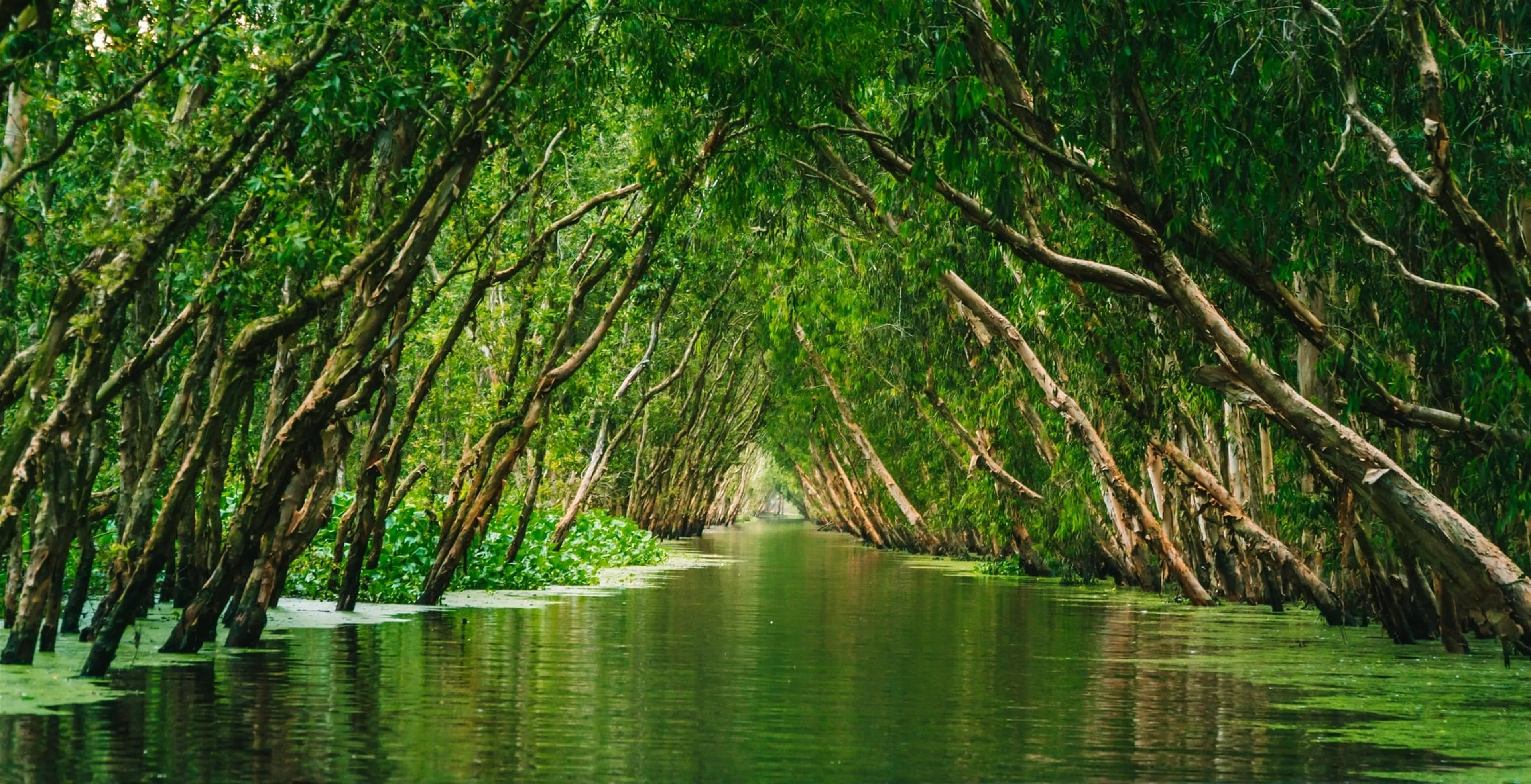 Mekong Delta 2 Days 1 Night: Cai Rang Floating Market & Ben Tre Coconut Village