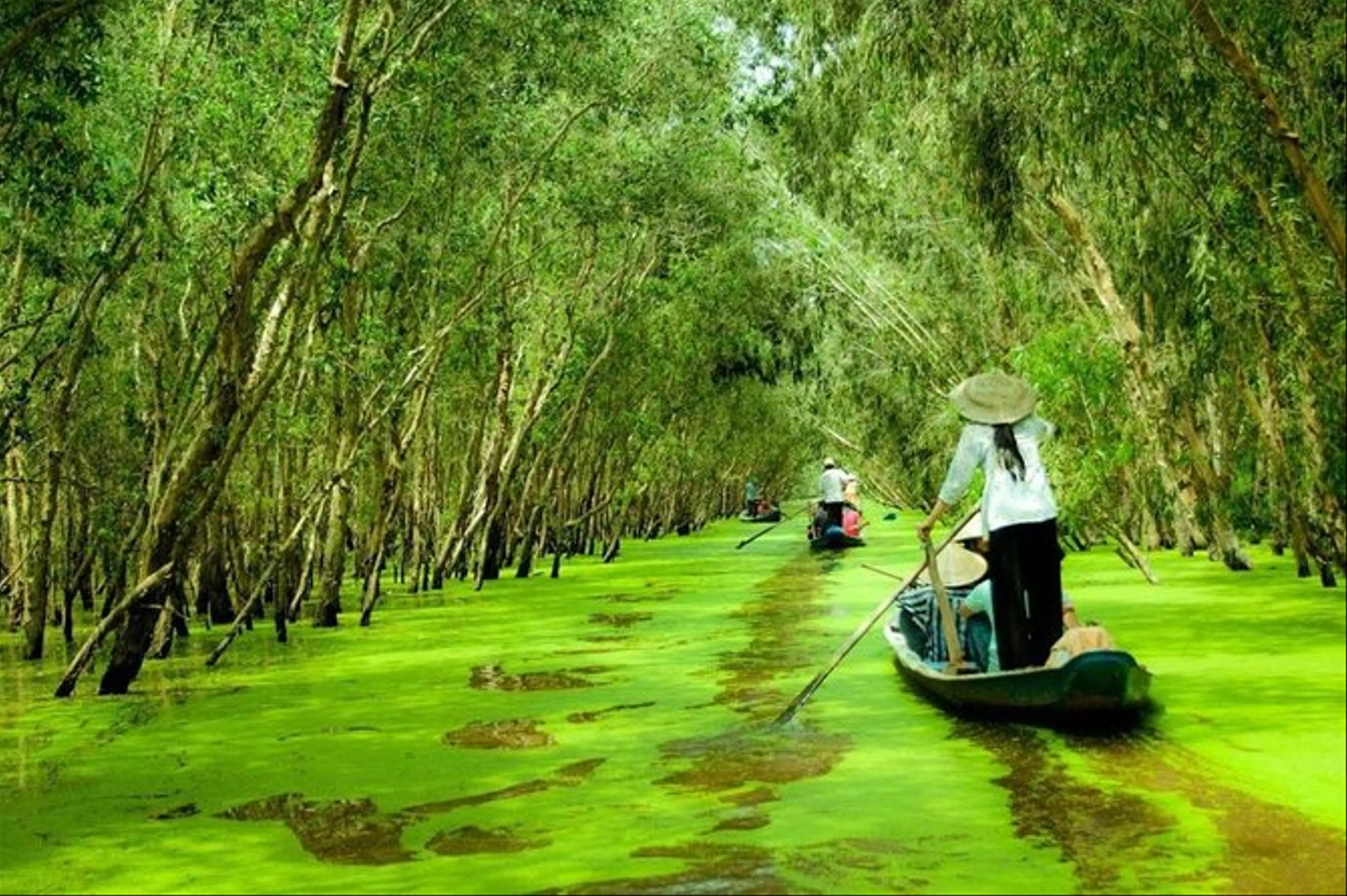 Mekong Delta Discovery 3 Days: Can Tho – Cai Rang – Chau Doc – Tra Su Forest Adventure