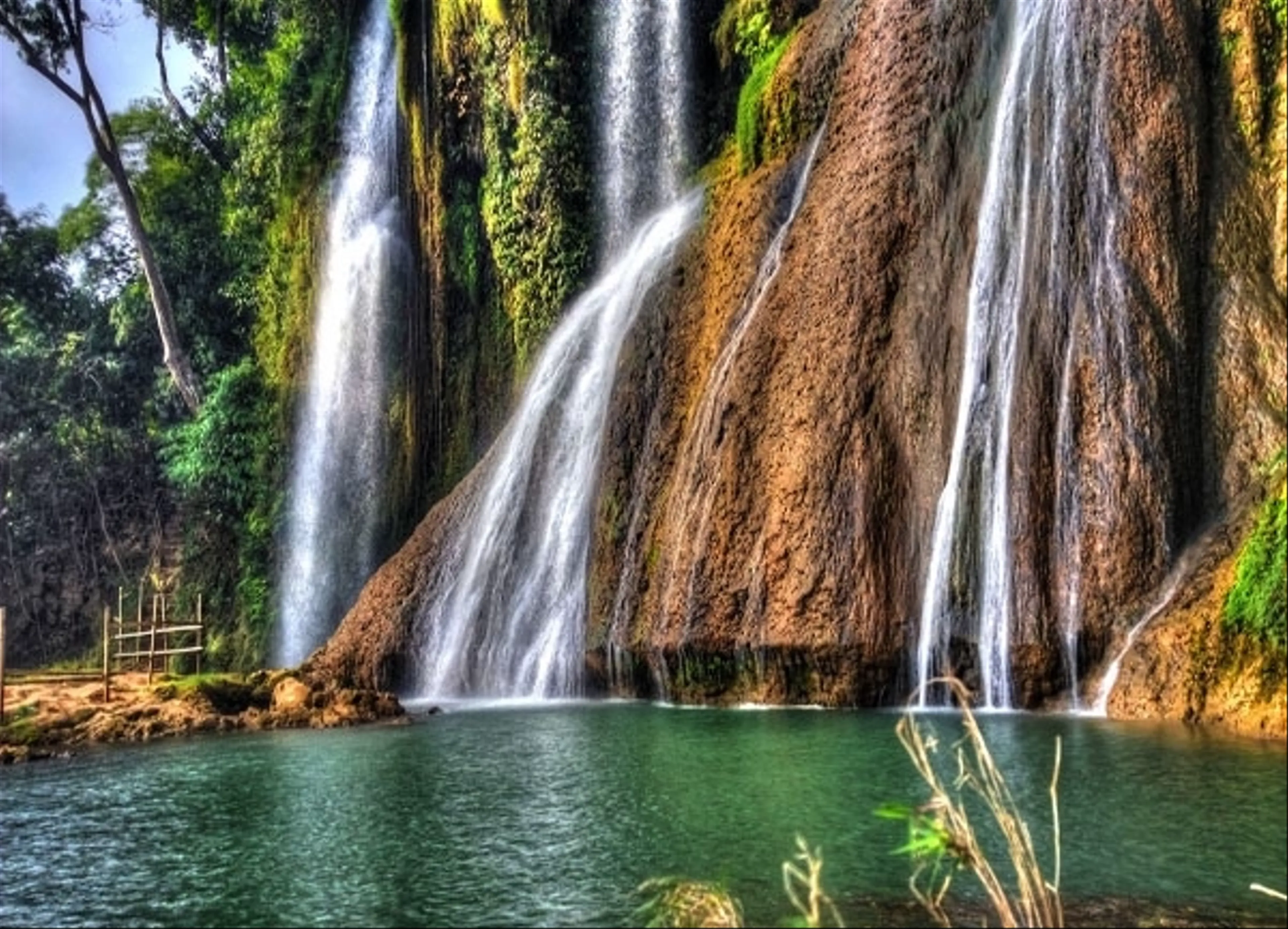 Moc Chau - While Glass Bridge 2 Days 1 Night (2-Star Hotel)