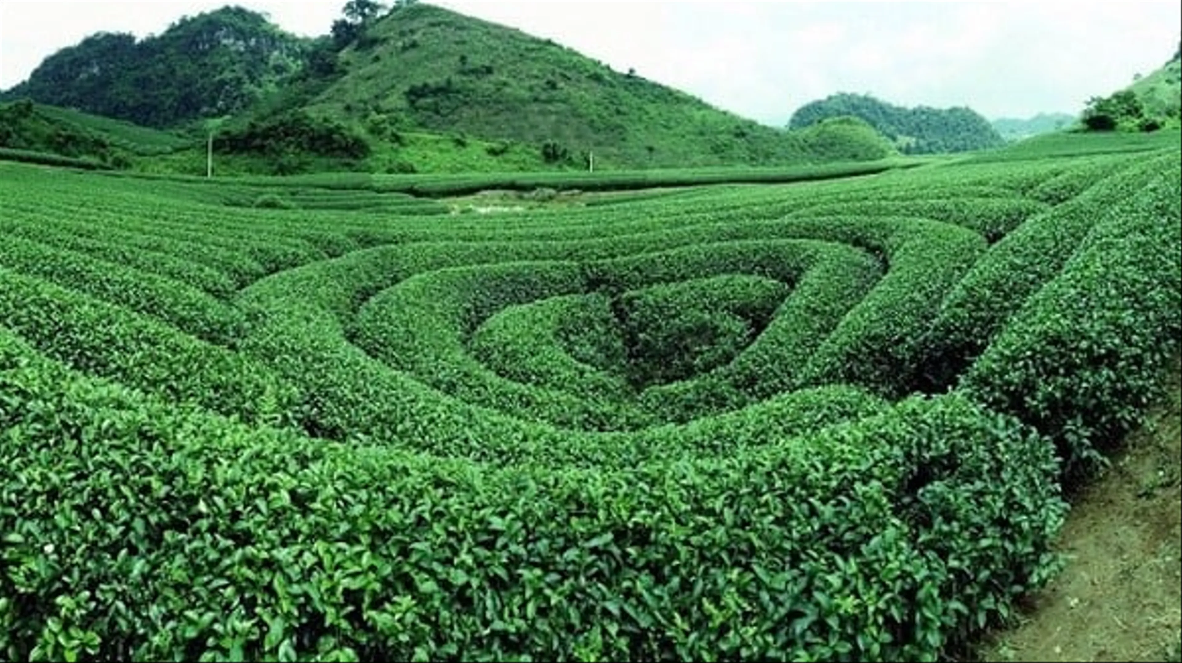 Mai Chau - Moc Chau - While Glass Bridge 2 Days 1 Night (2-Star Hotel)