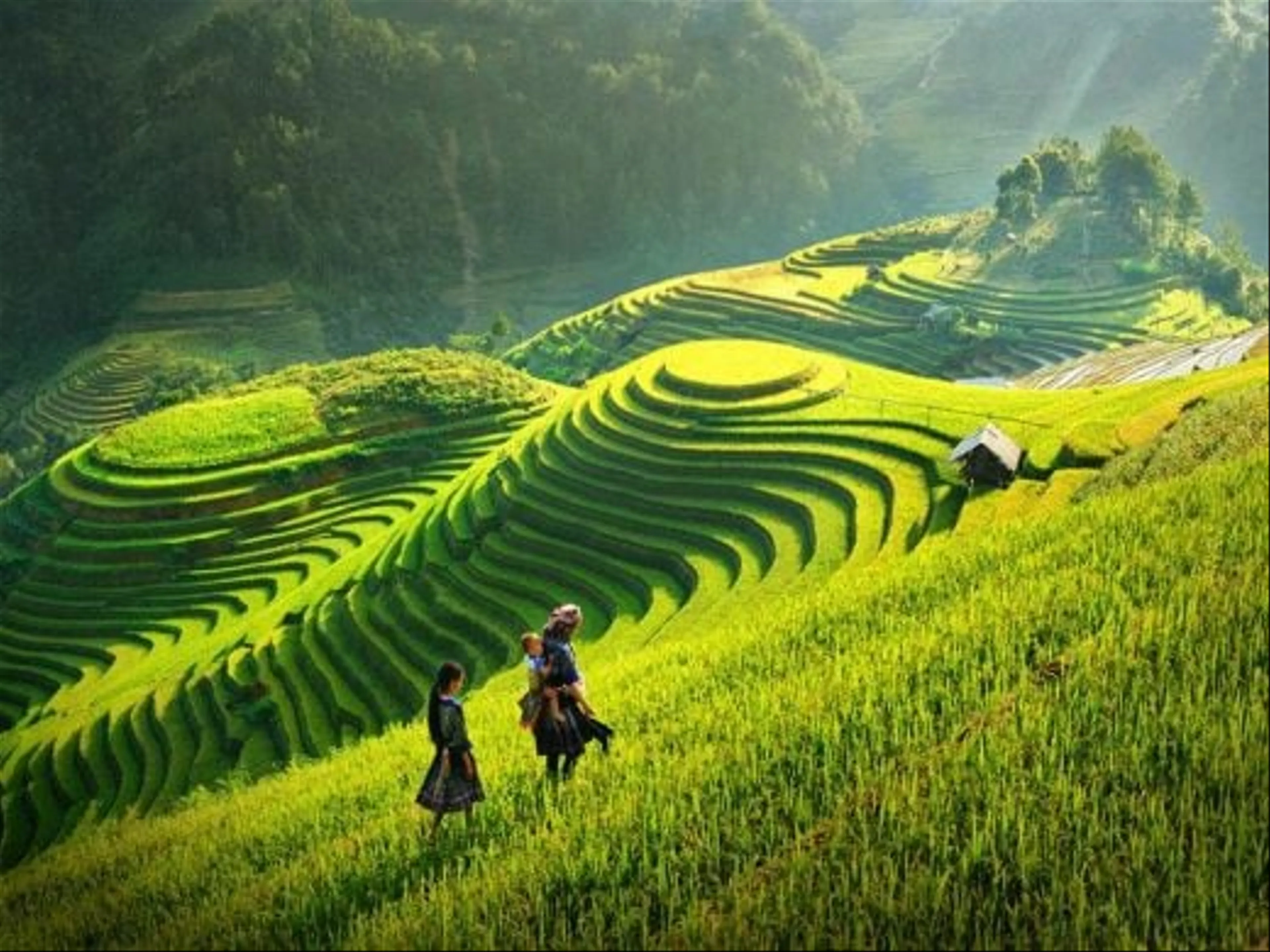 Mộc Châu - Cầu Kính Bạch Long 2N1D (Ks2 Sao)