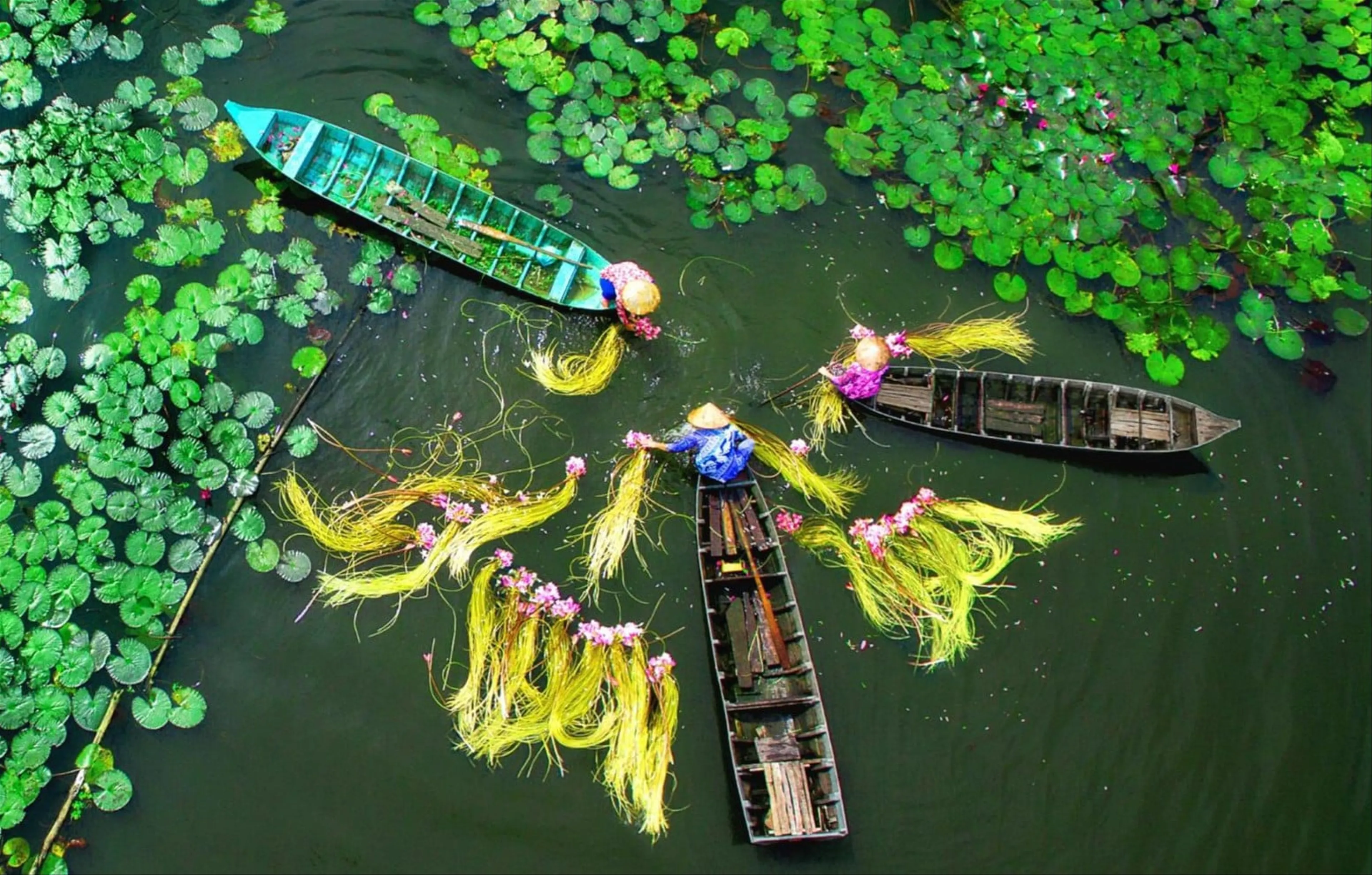 Ho Chi Minh - Western - Ben Tre - Tra Vinh - Con Chim - Mekong Smile