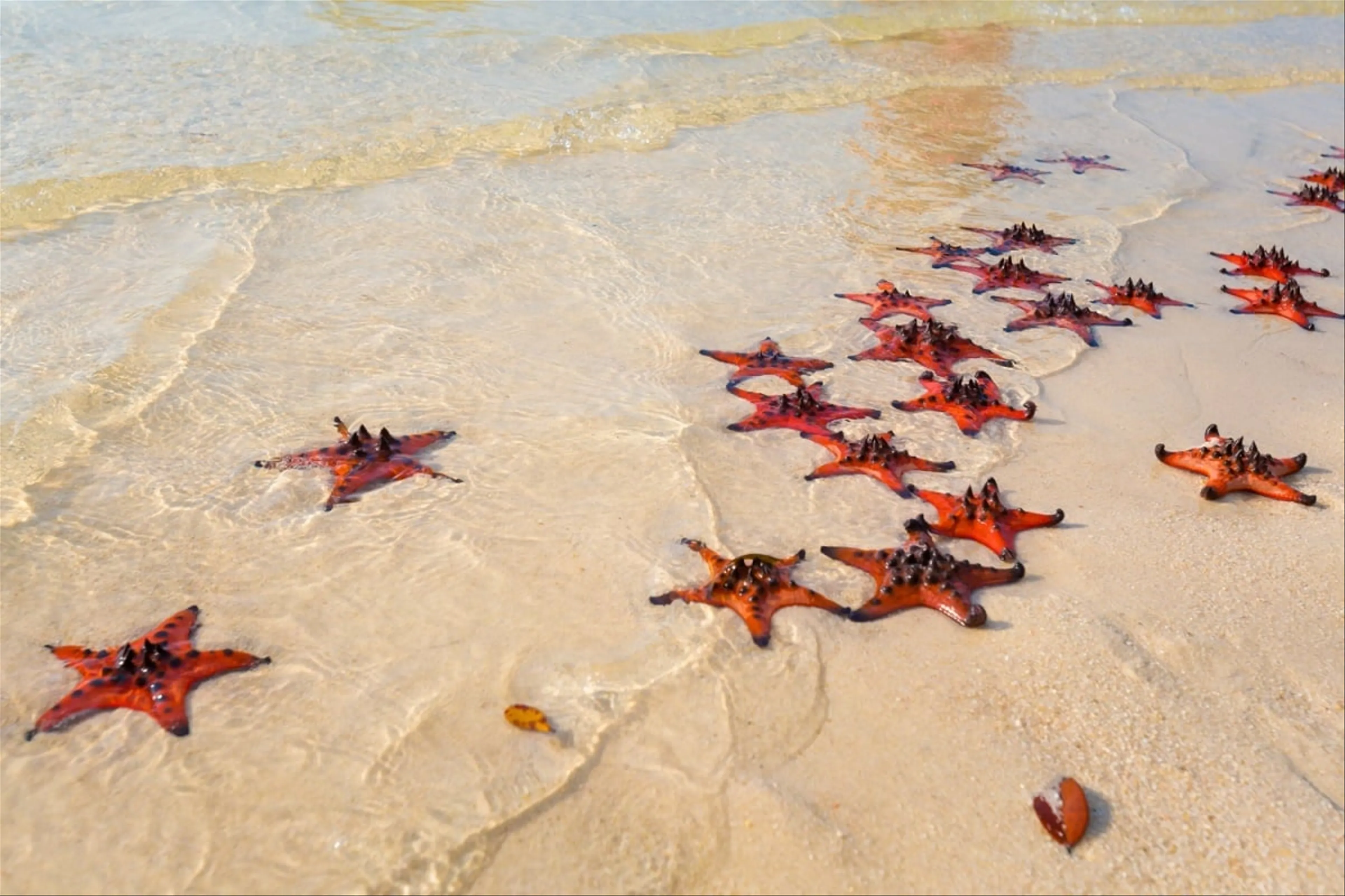 Hai Phong - Phu Quoc Island 3 Days 2 Nights (4-Stars Hotel)