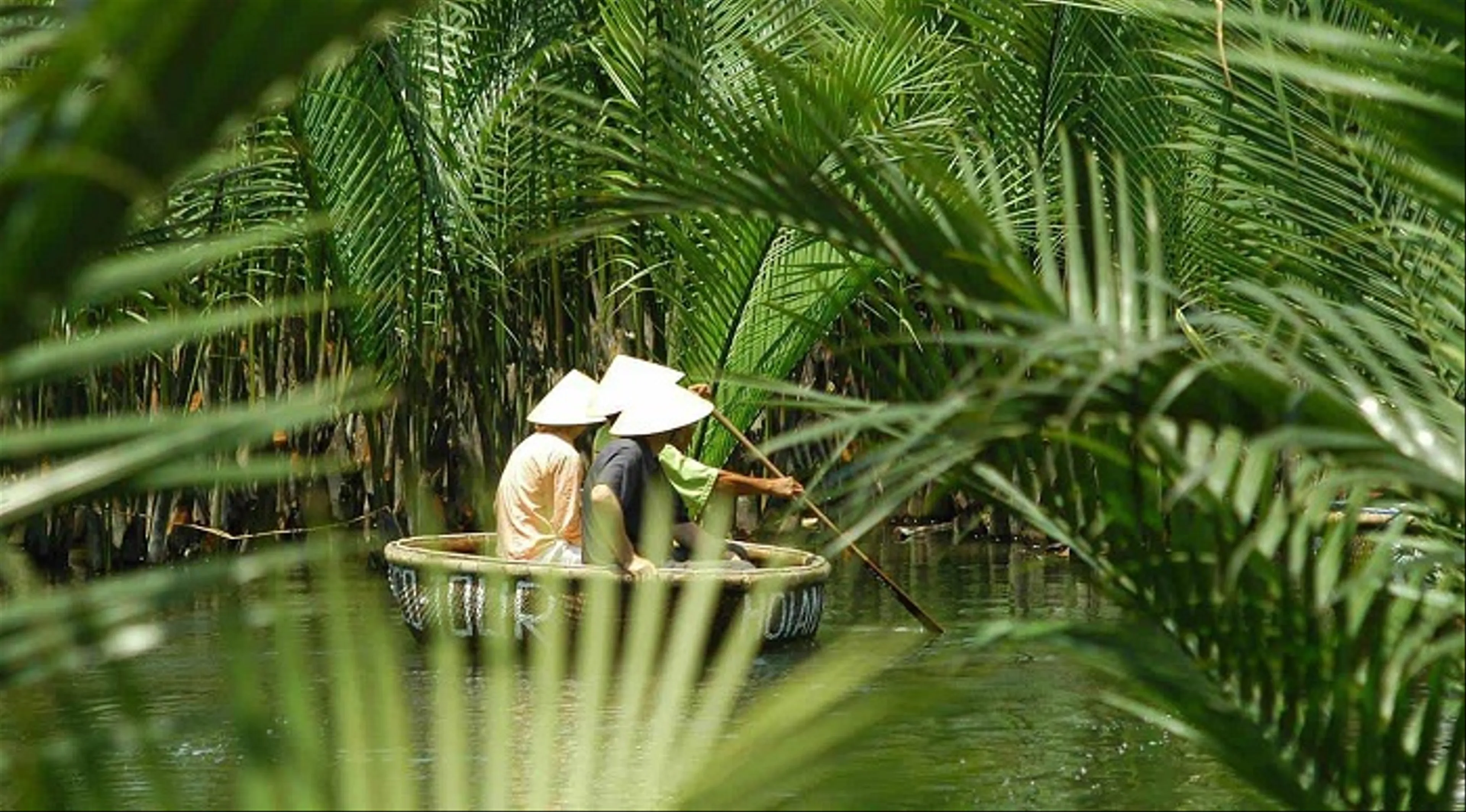 Về Cẩm Thanh trải nghiệm ngồi thuyền thúng giữa rừng dừa nước