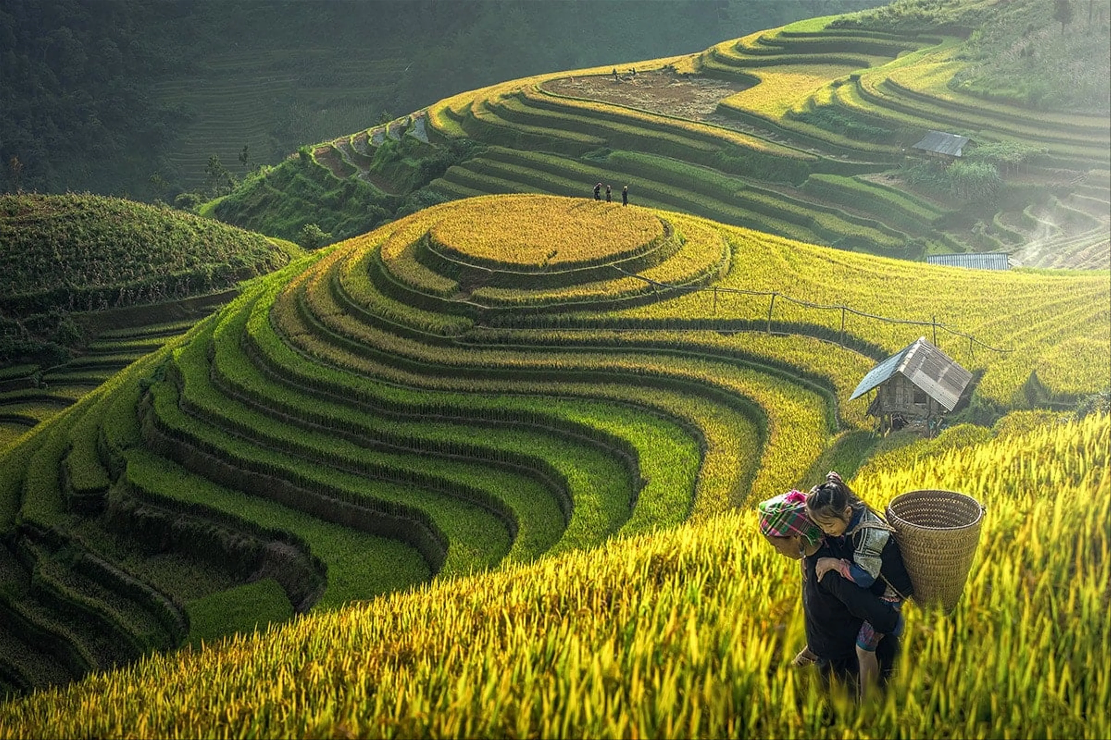 Sapa - Can Cau Market (Simacai) 3 Days 2 Nights (3-Star Hotel)