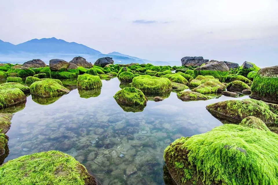 Những tảng đá phủ đầy rêu xanh