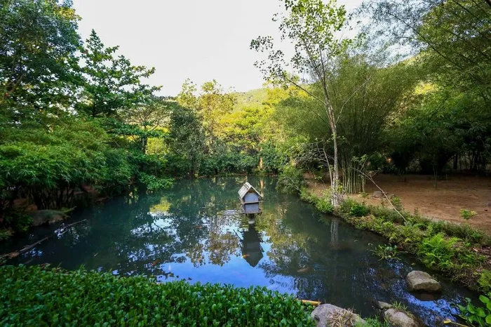 Đắm mình giữa thiên nhiên