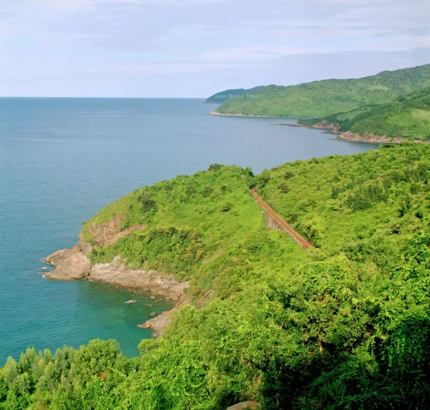 Những khu rừng nguyên sinh trên đảo Sơn Chà
