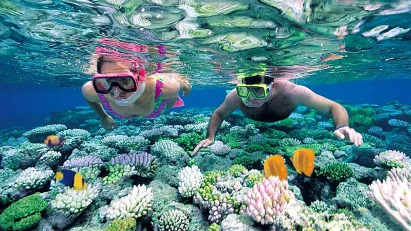 Lặn ngám san hô là một hoạt động trải nghiệm ở Hòn Chùa