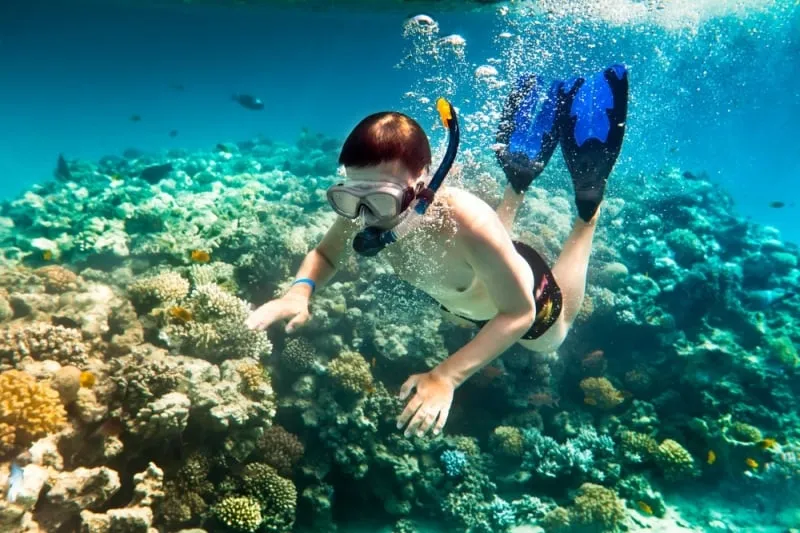 Lặn biển để ngắm nhìn những rặng san hô muôn màu sắc vô cùng đẹp mắt