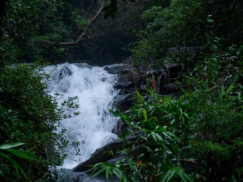 Điểm trekking cực chất của Đà Nẵng