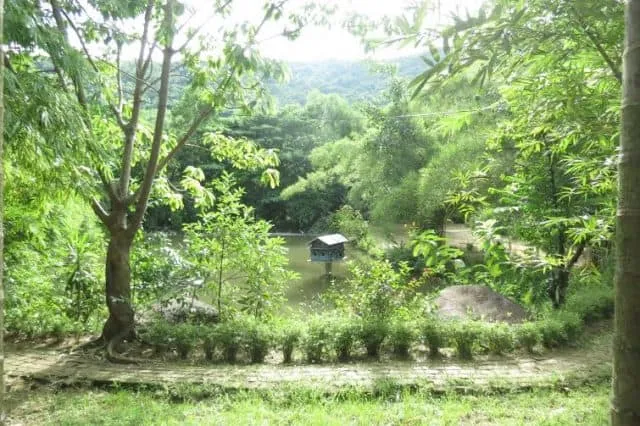 Để lòng mình yên tĩnh lại