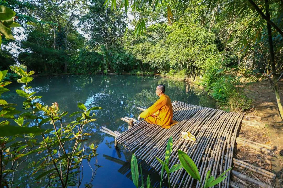 Lắng nghe tiếng trúc ở Sơn trà Tịnh Viên