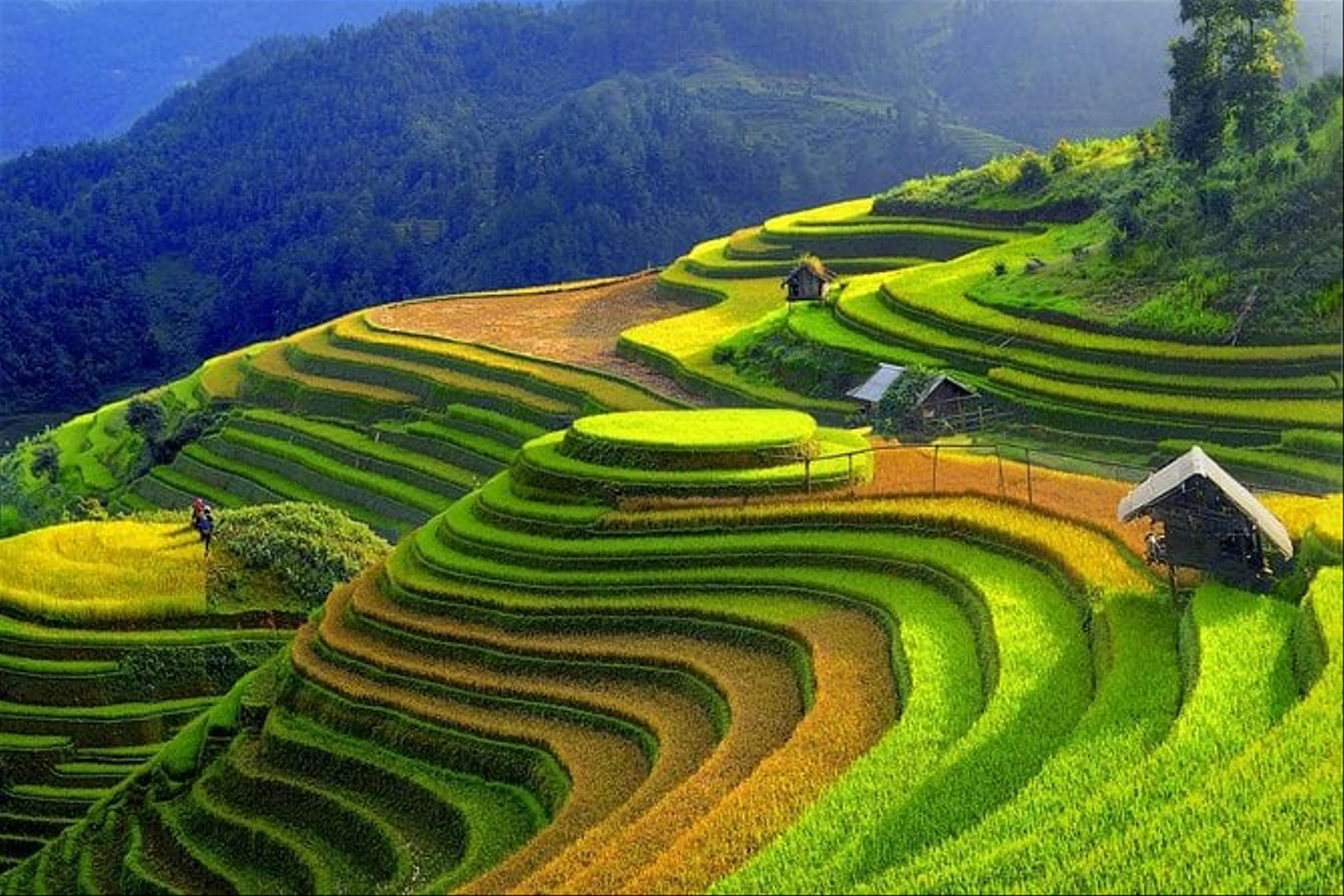 Sapa Trekking Adventure 2 Days 1 Night – Homestay Experience