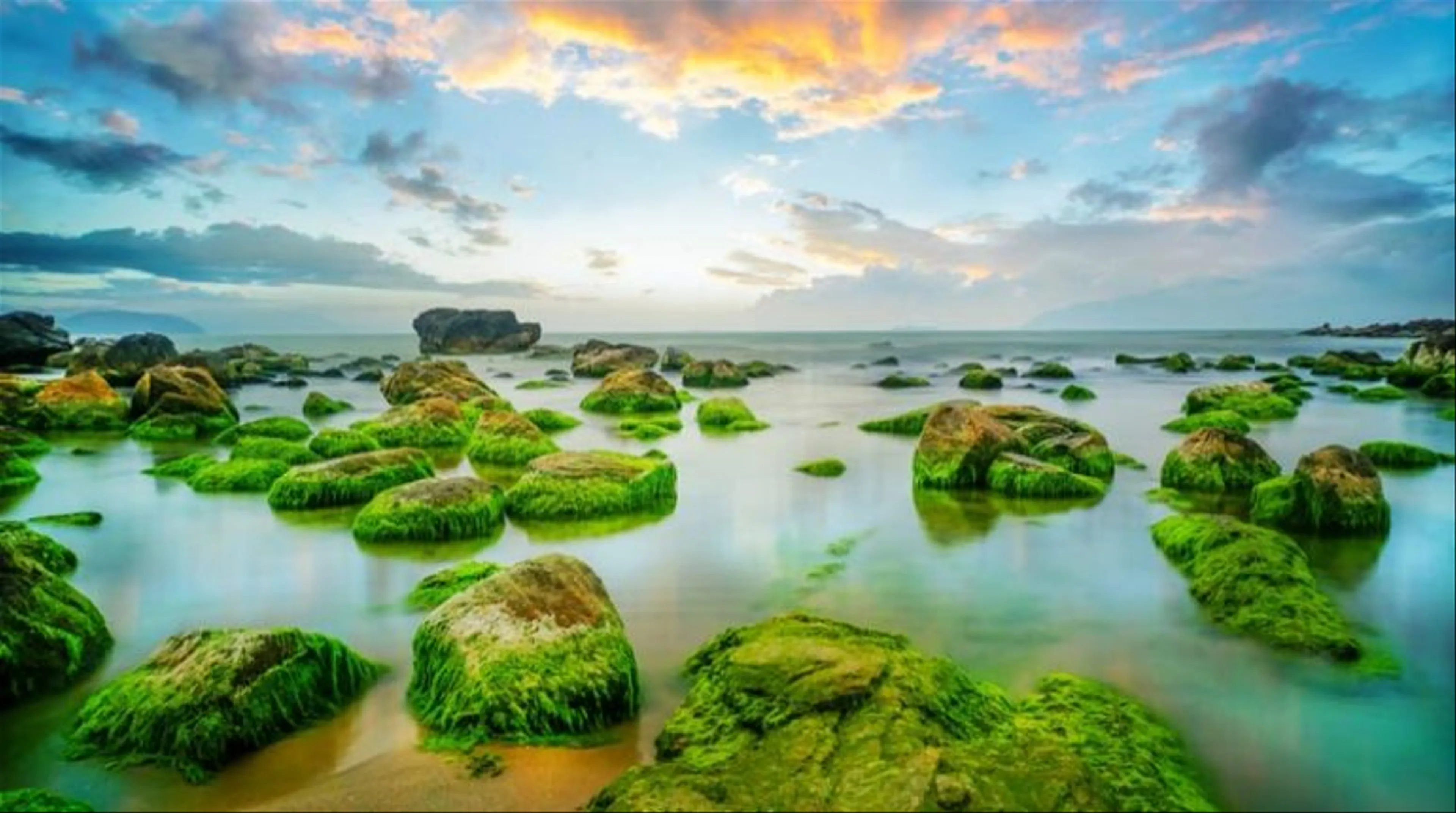 Khu du lịch sinh thái Nam Ô Đà Nẵng