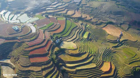 Ruộng bậc thang ở bản Tả Phìn