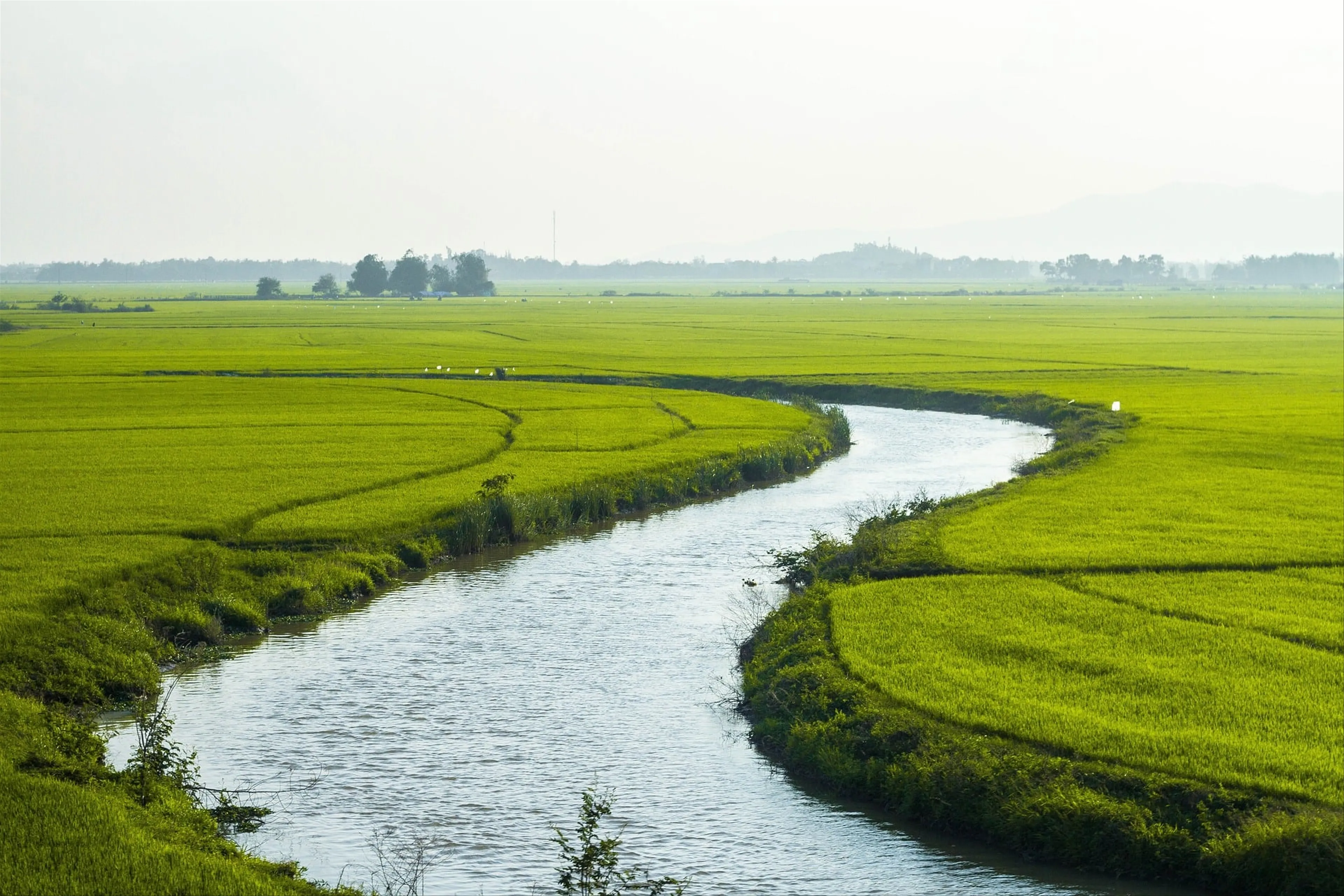 What to do if you forgot to apply for a Vietnam visa online or in person for your Vietnam tour?