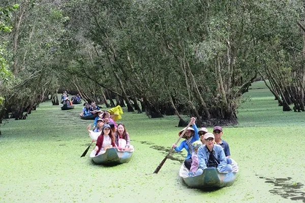 Tra Su Cajuput Forest: A serene wonderland of nature