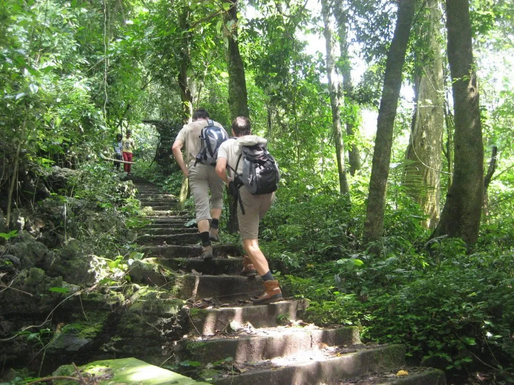 Mountain climbing in Cuc Phuong forest in Ninh Binh