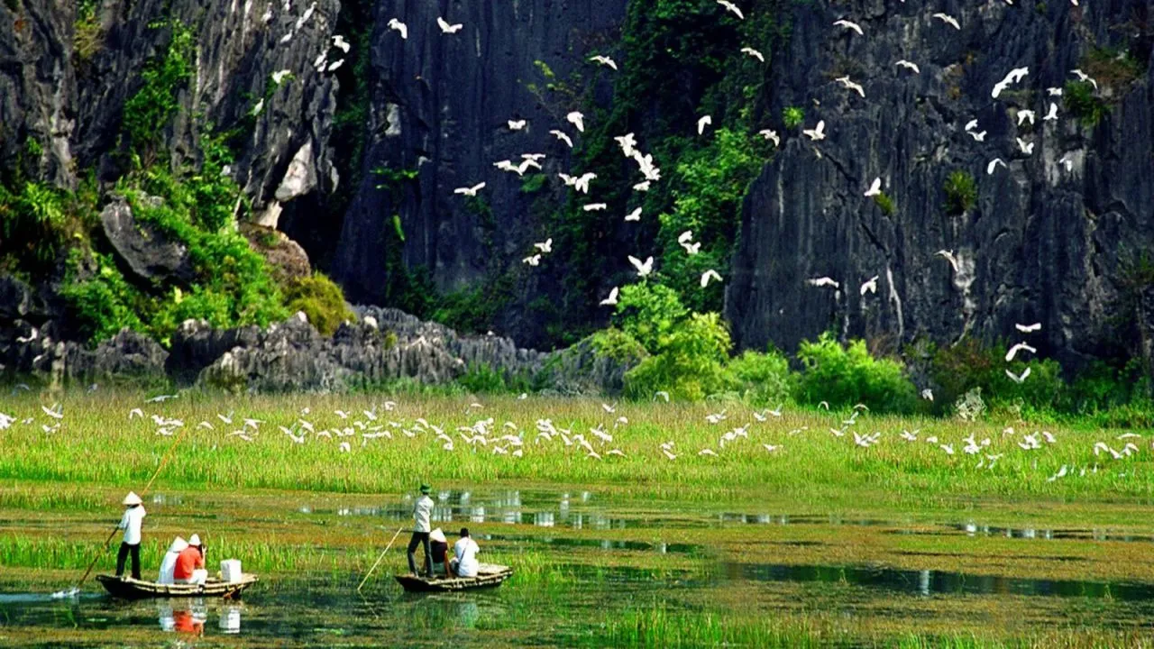 Thung Nham Bird Garden