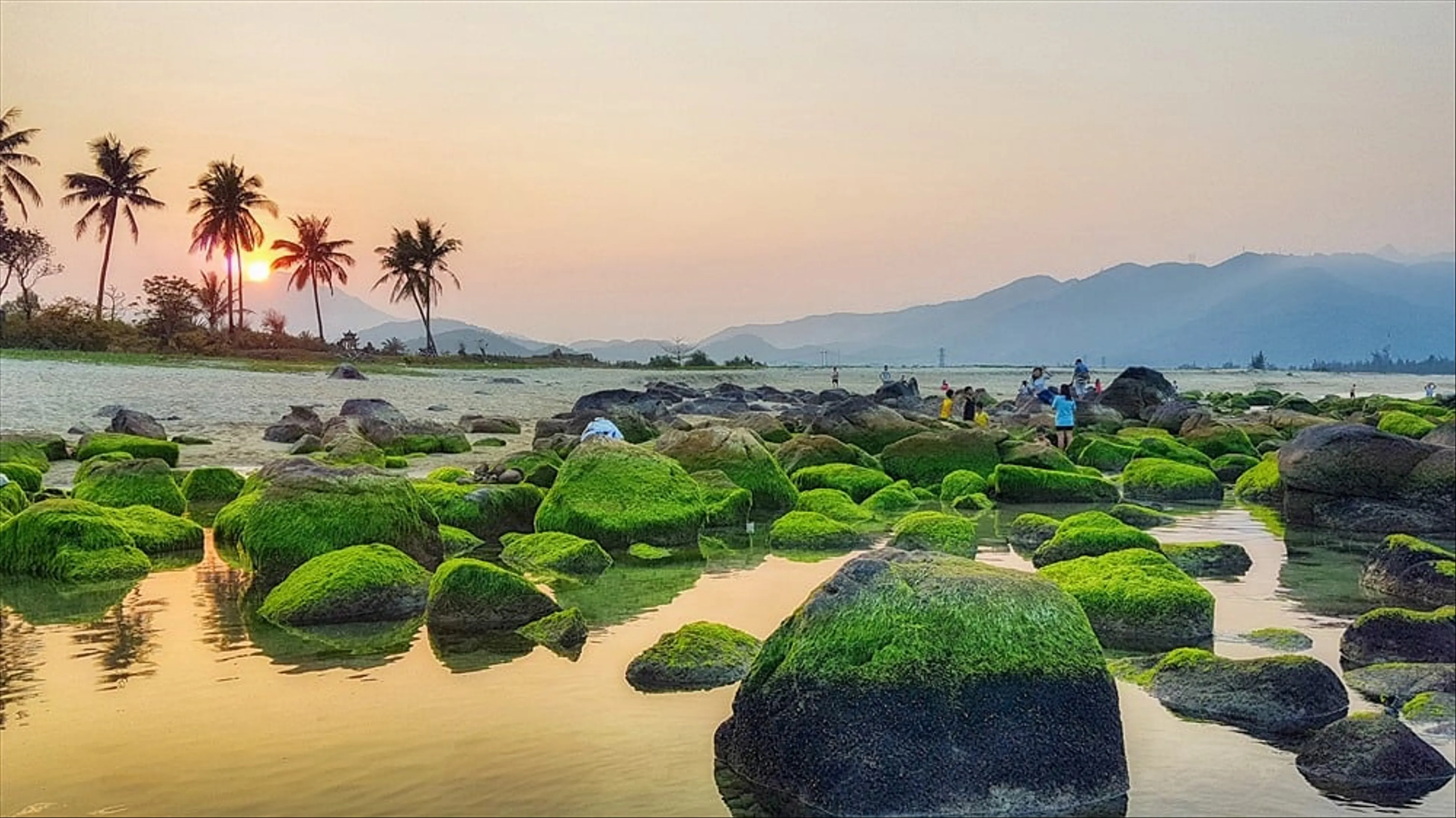 Explore the Wild and Magnificent Beauty of Nam O Reef