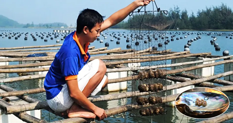 Phu Quoc Pearl Farm