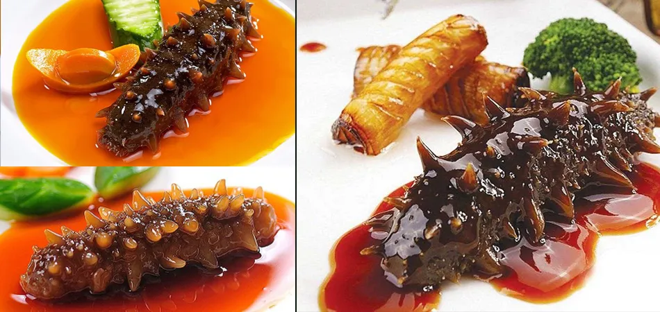 Sea cucumber