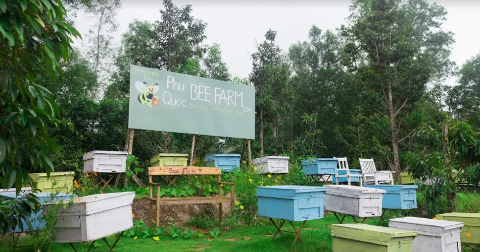 Beautiful scenery of Phu Quoc Bee Farm