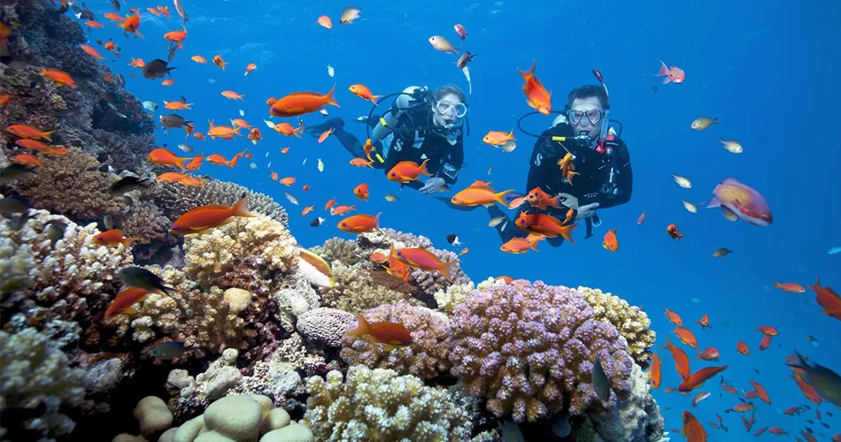 Sea diving to catch coral in Phu Quoc, Vietnam