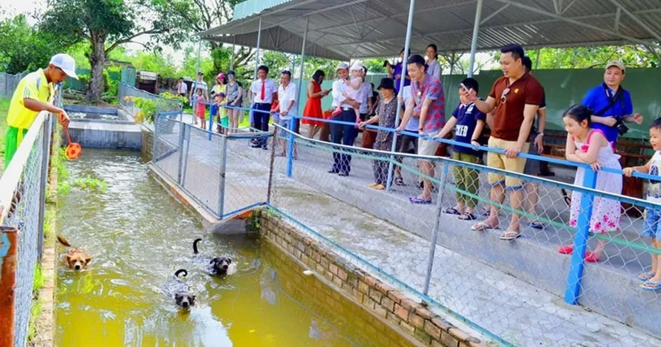 Phu Quoc Dog Farm