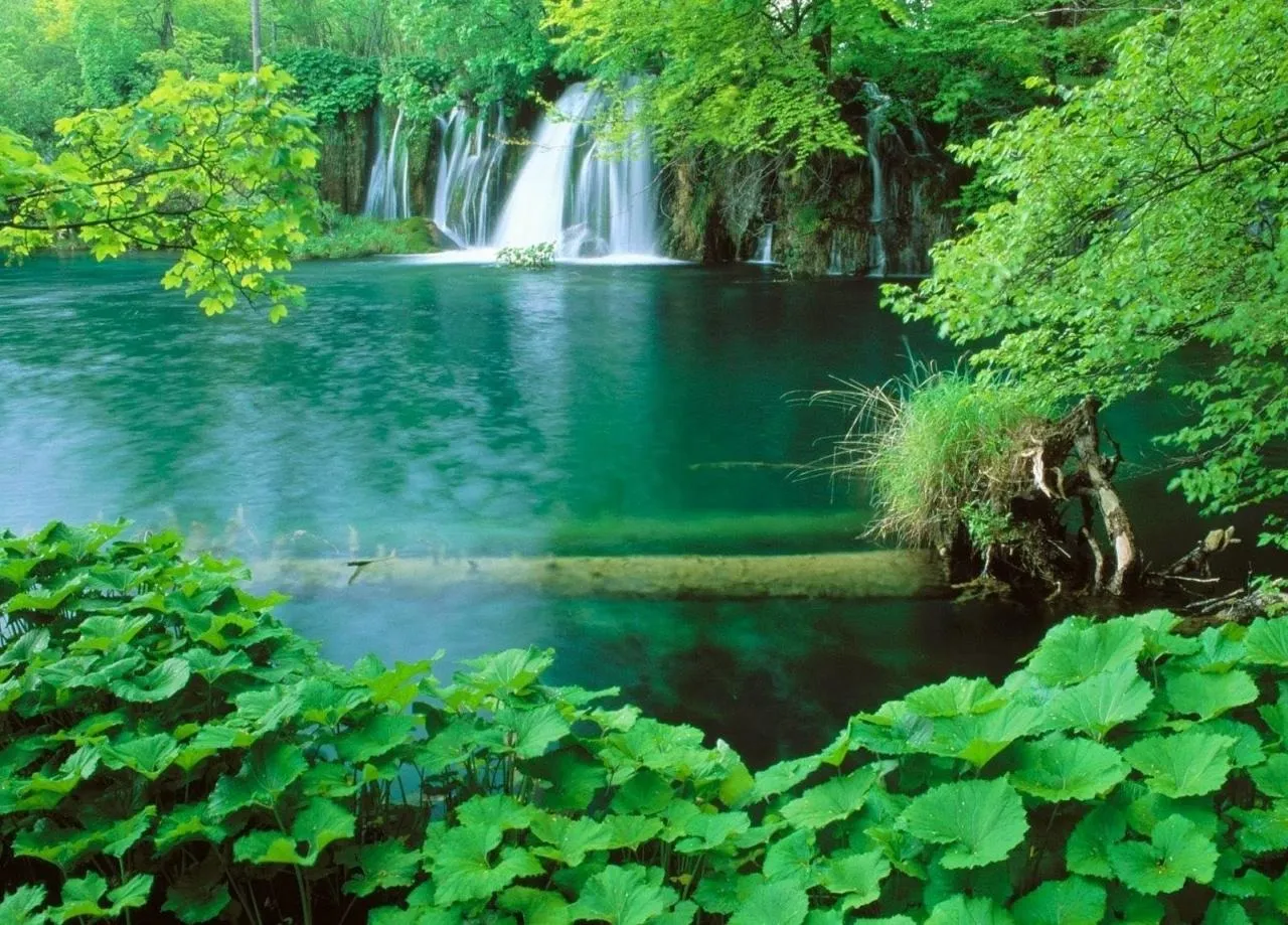 Phu Quoc National Park