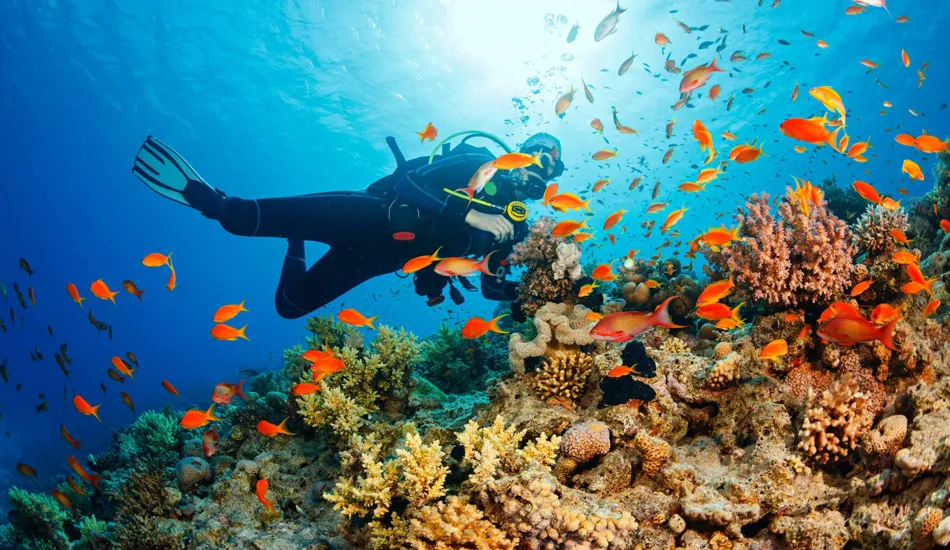 Scuba diving to see coral at Khem Phu Quoc beach
