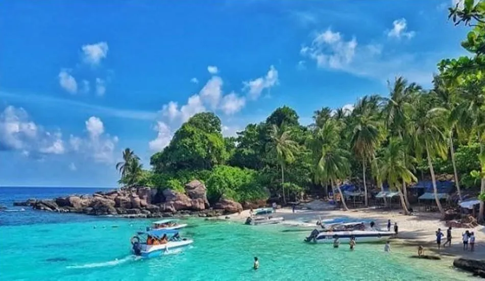 The pure beauty of Vietnam's rich country