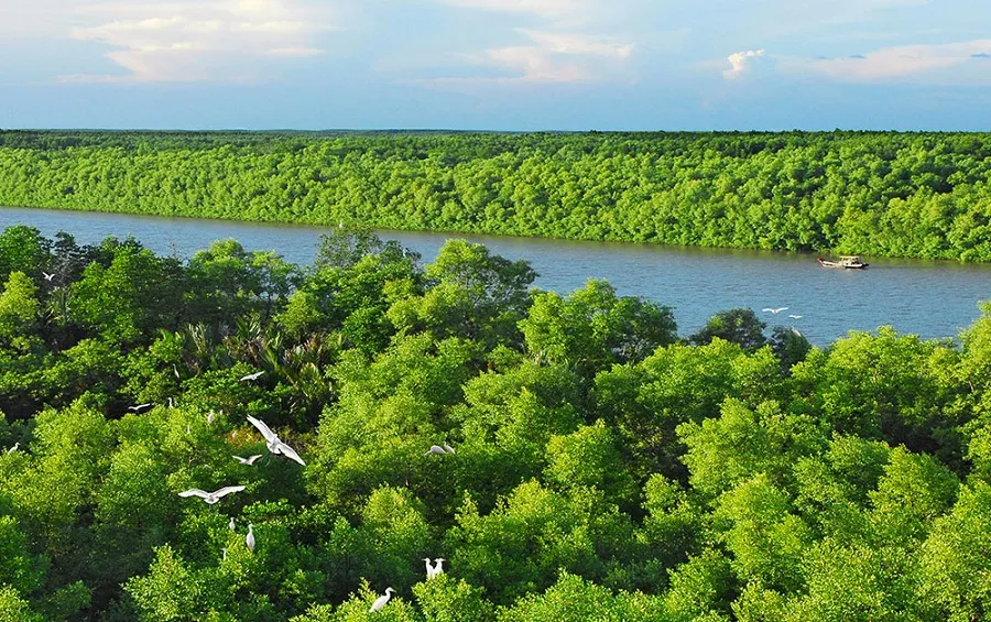 Can Gio eco-tourism area in Ho Chi Minh City