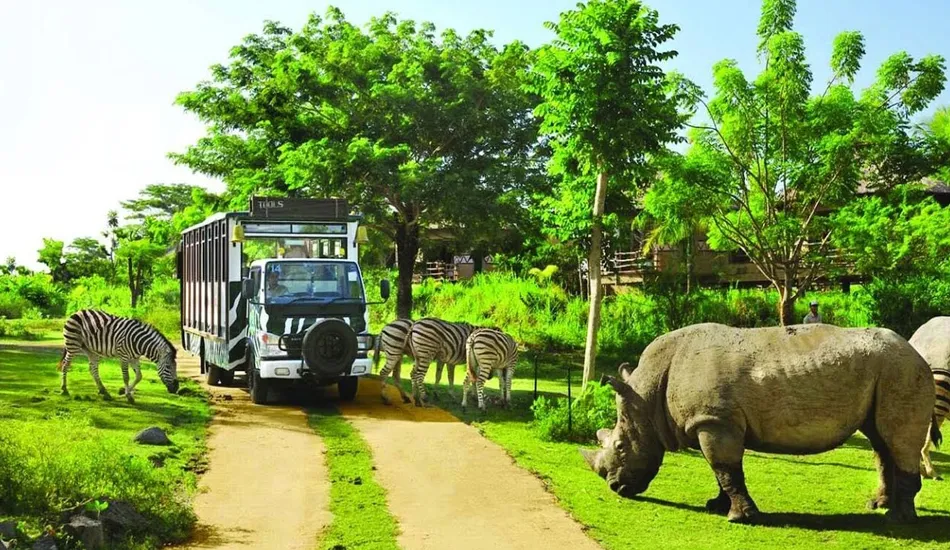 Vinpearl Safari phu quoc