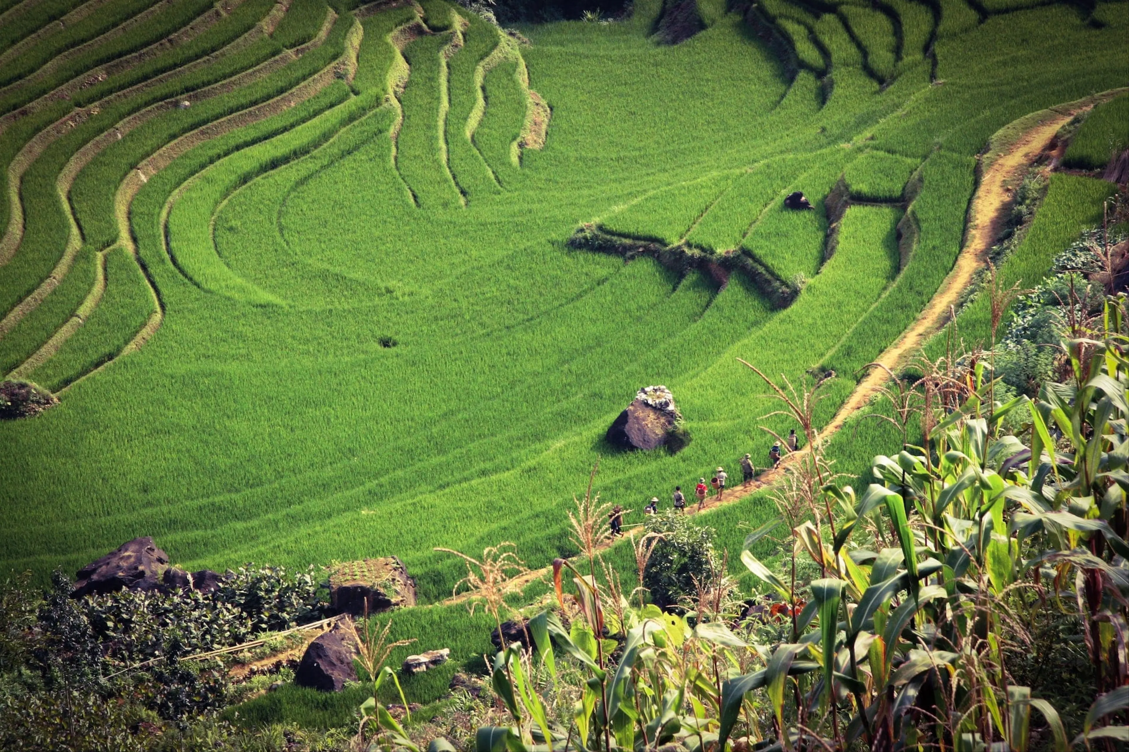 Things to do in Sapa Valley