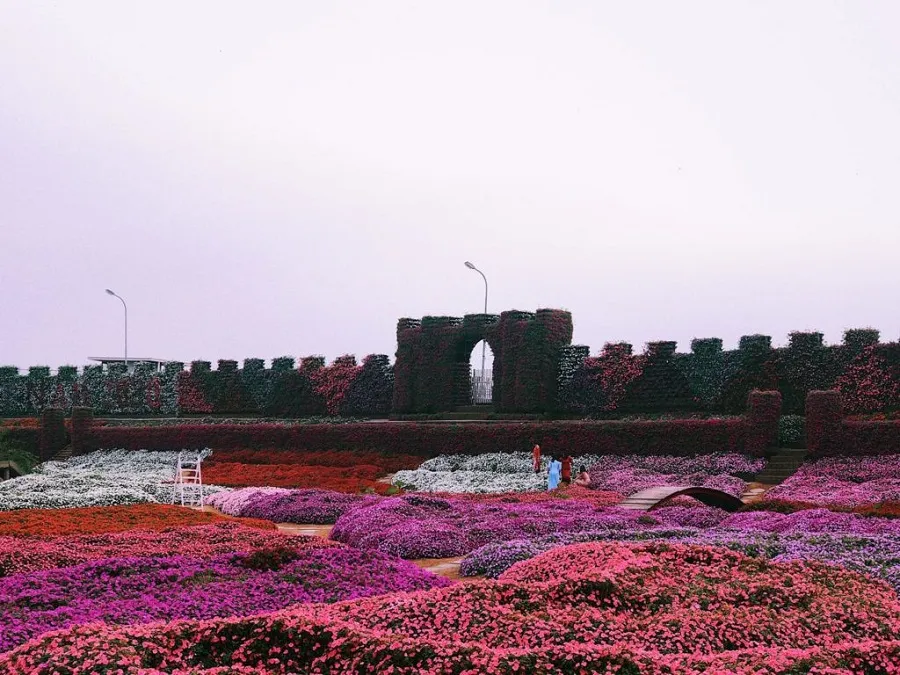 West Lake flower valley attracts a large number of visitors to take photos