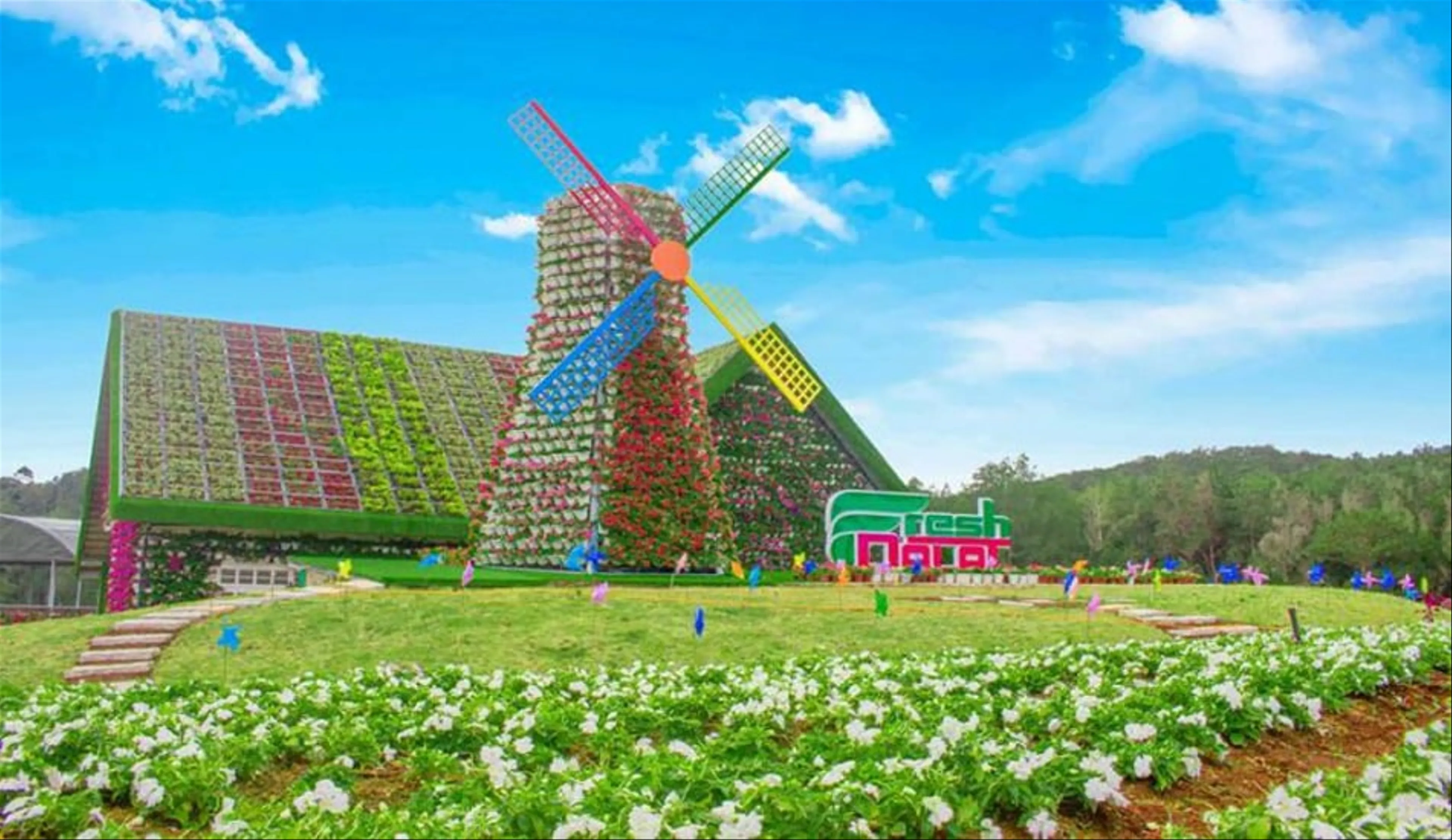 The most interesting Da Lat tourist destinations for children