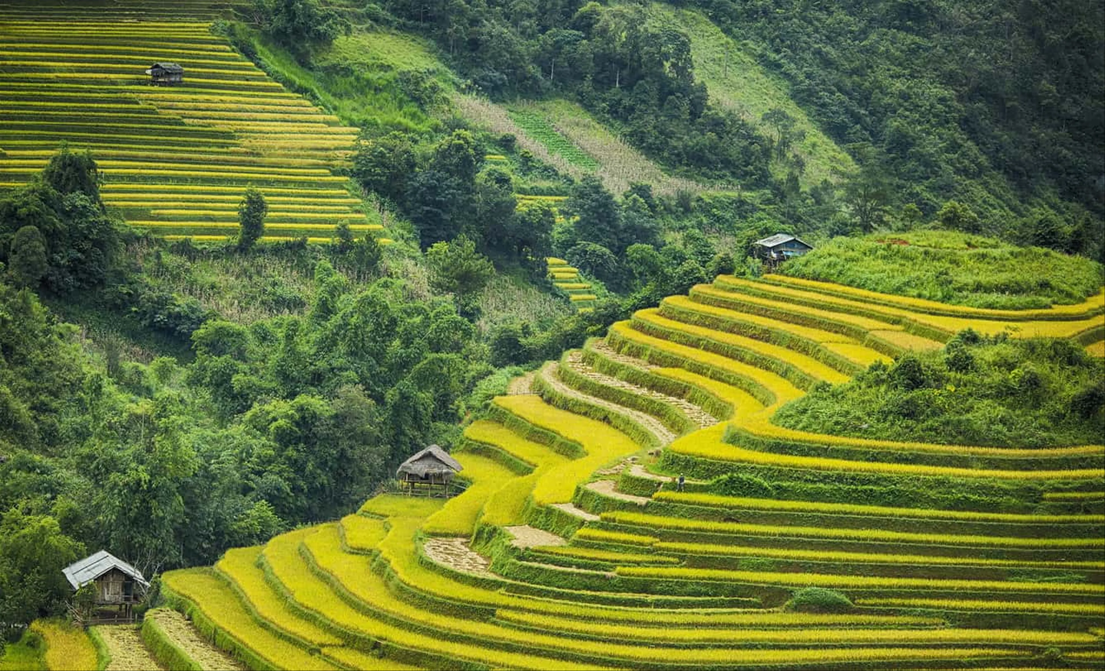 Kinh nghiệm du lịch Sapa tự túc
