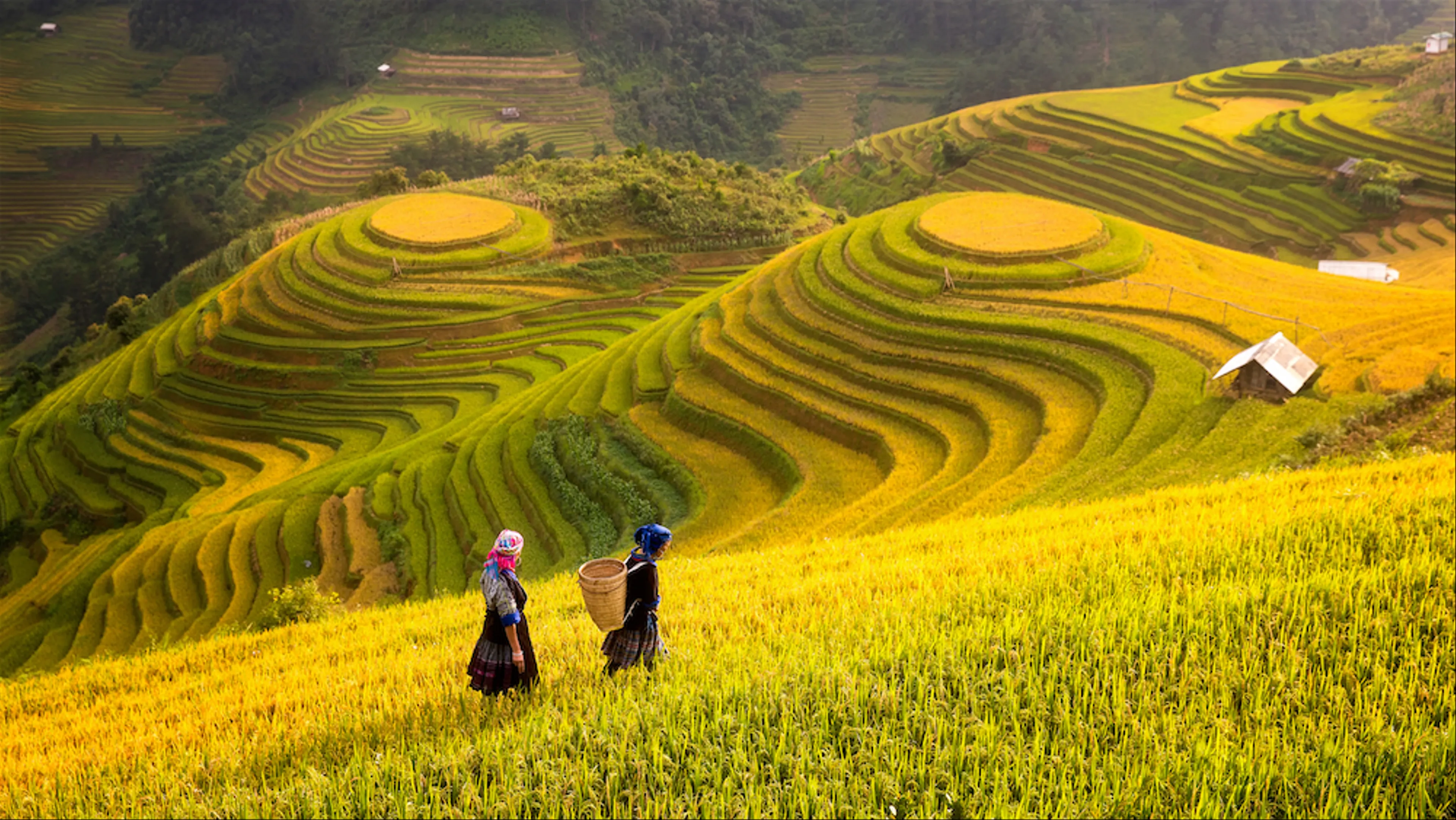 Khám phá nét đẹp bản Tả Van