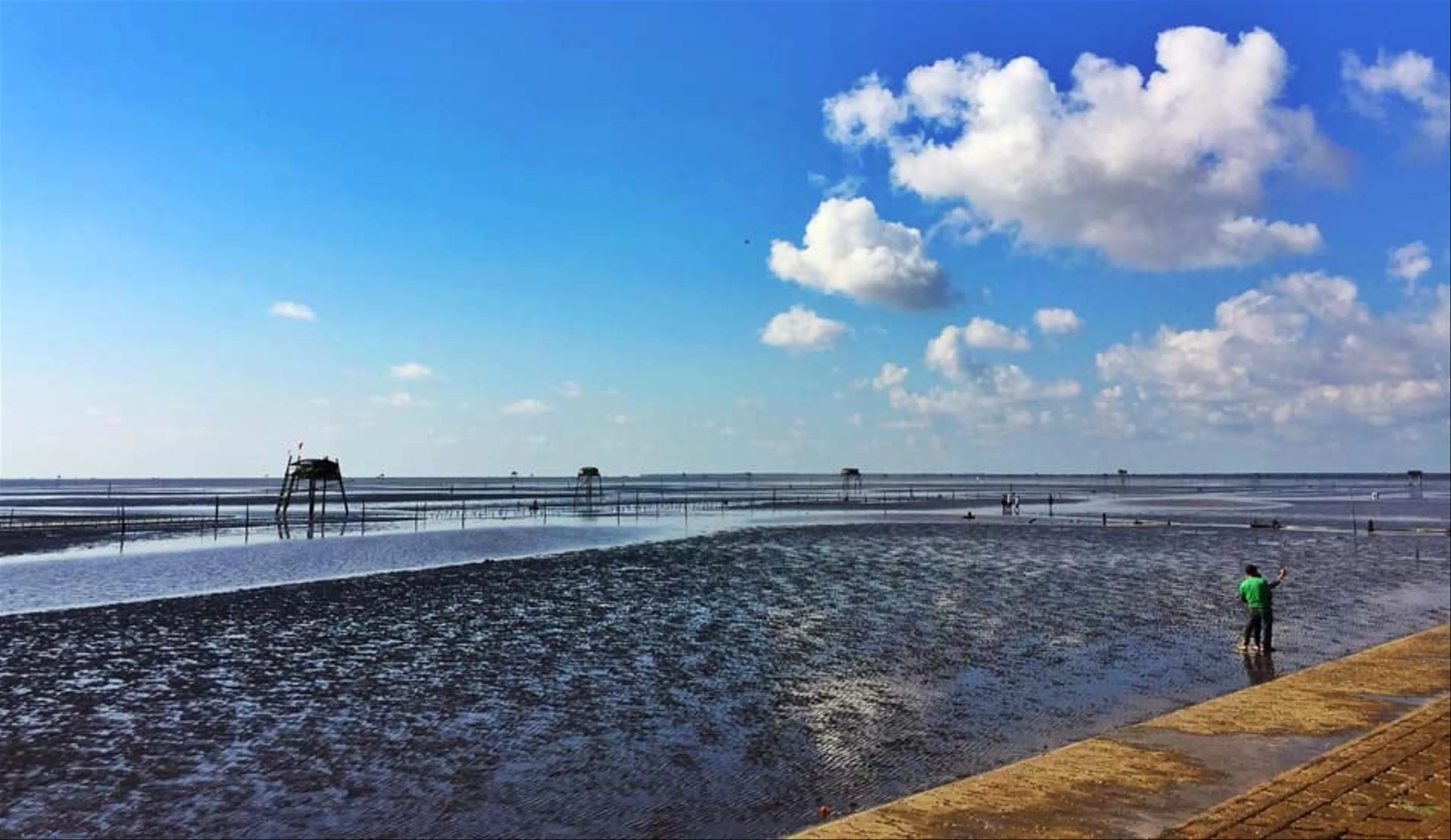 Discovering Tranquility at Tan Thanh Beach in Tien Giang