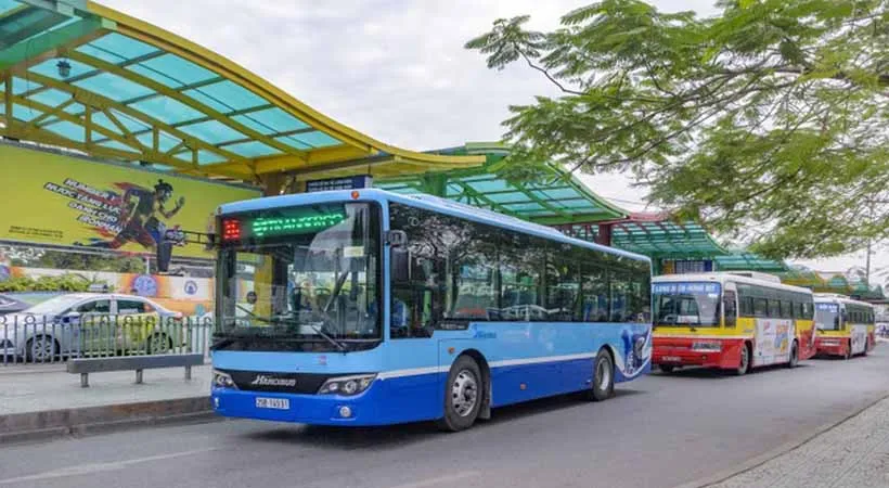 bus to tao dan park