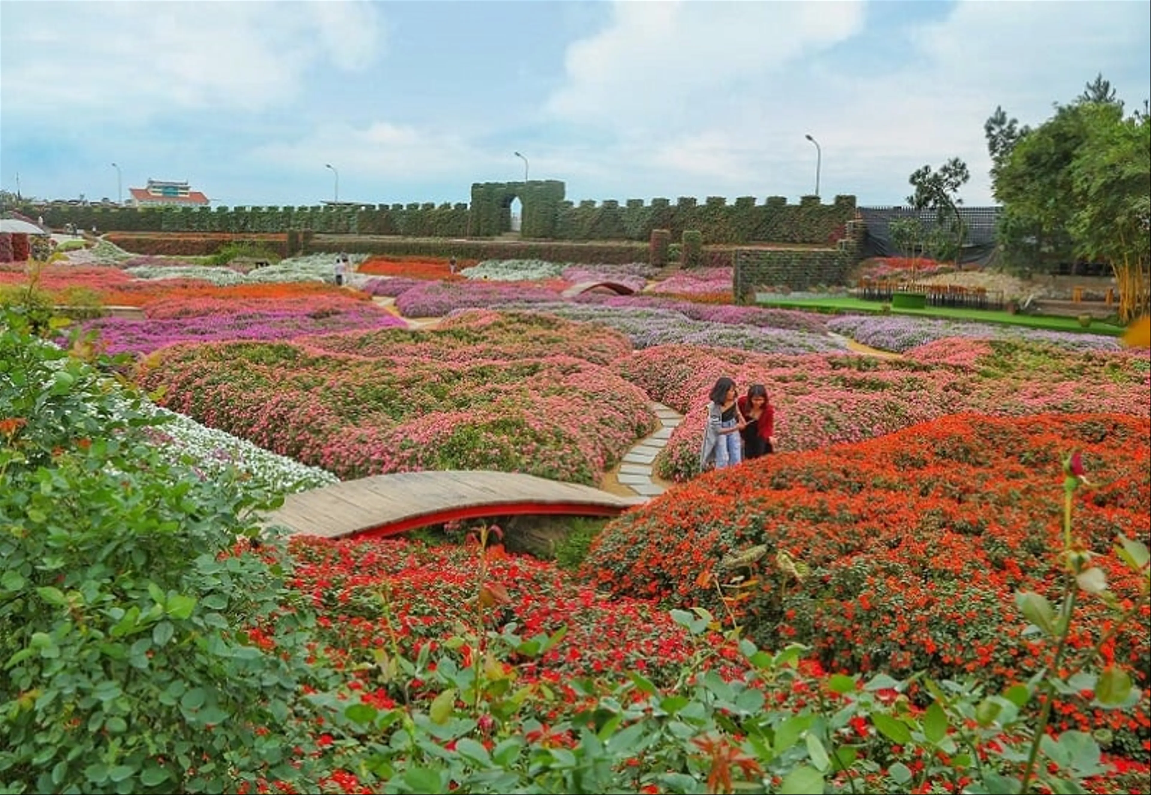 Lost in paradise: Explore the top 9 flower gardens in Hanoi