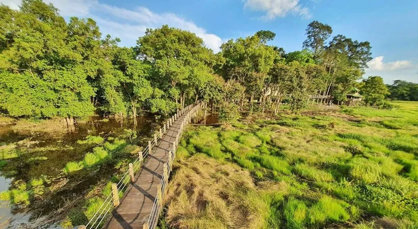 Cat Tien National Park landscape